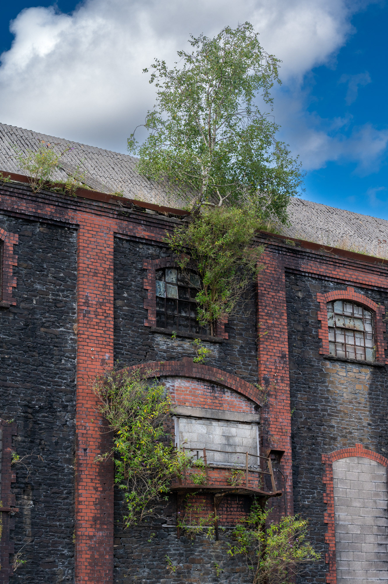 The now derelict pithead gear and winding house at Penallta Colliery, Ystrad Mynach.