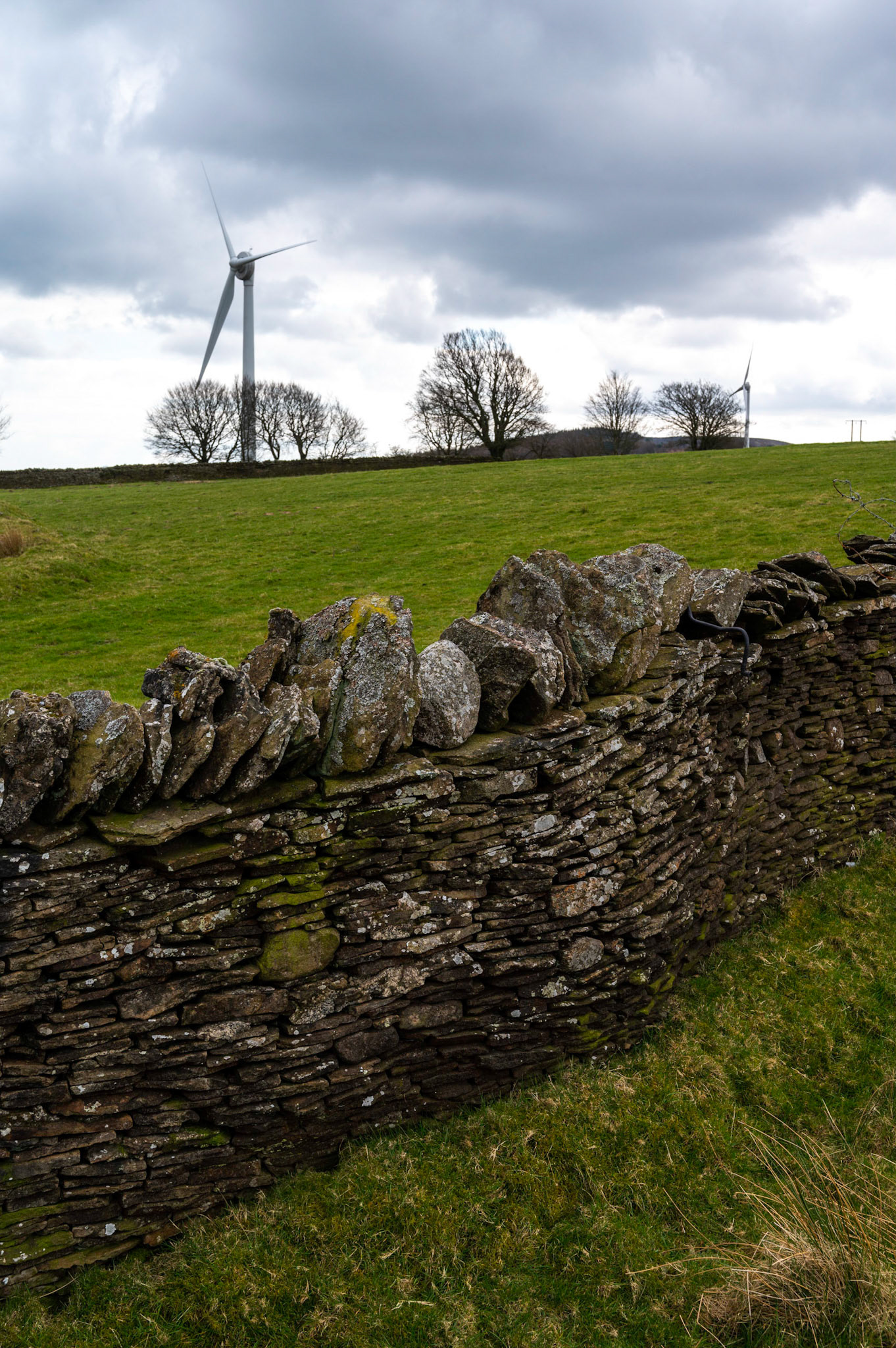 Today’s walk from home Mynydd Y Grug and back.