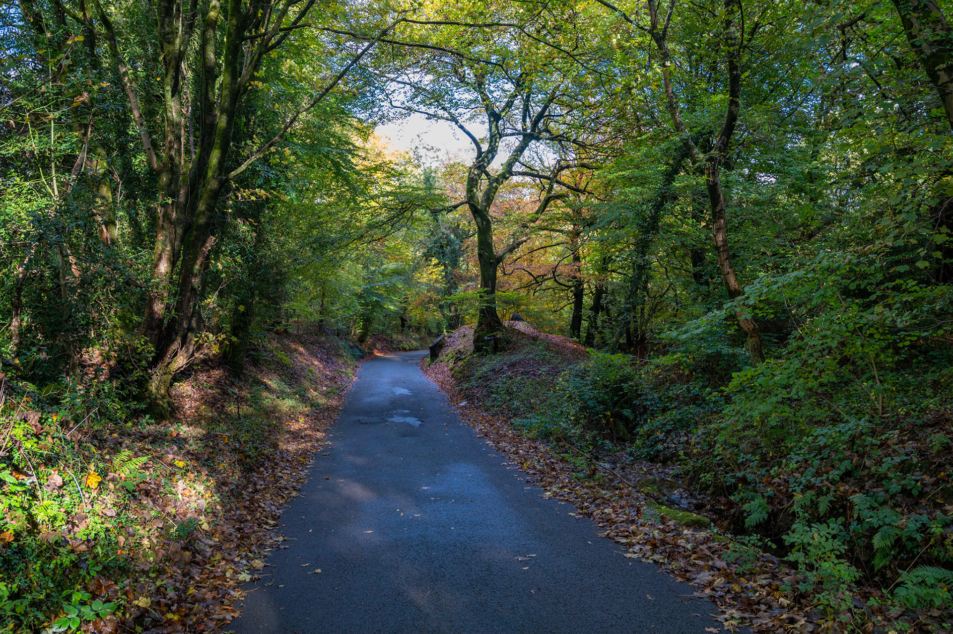 Autumn colours near Wylie, South Wales, UK