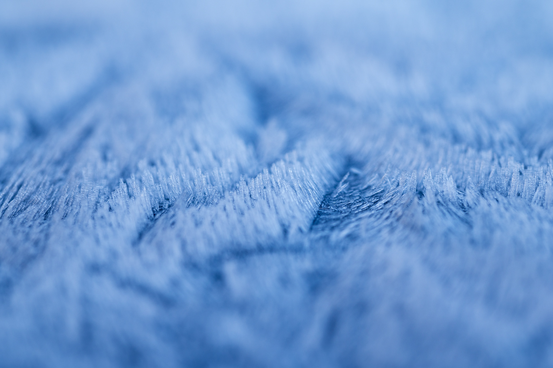 Frost crystals 2/1/25