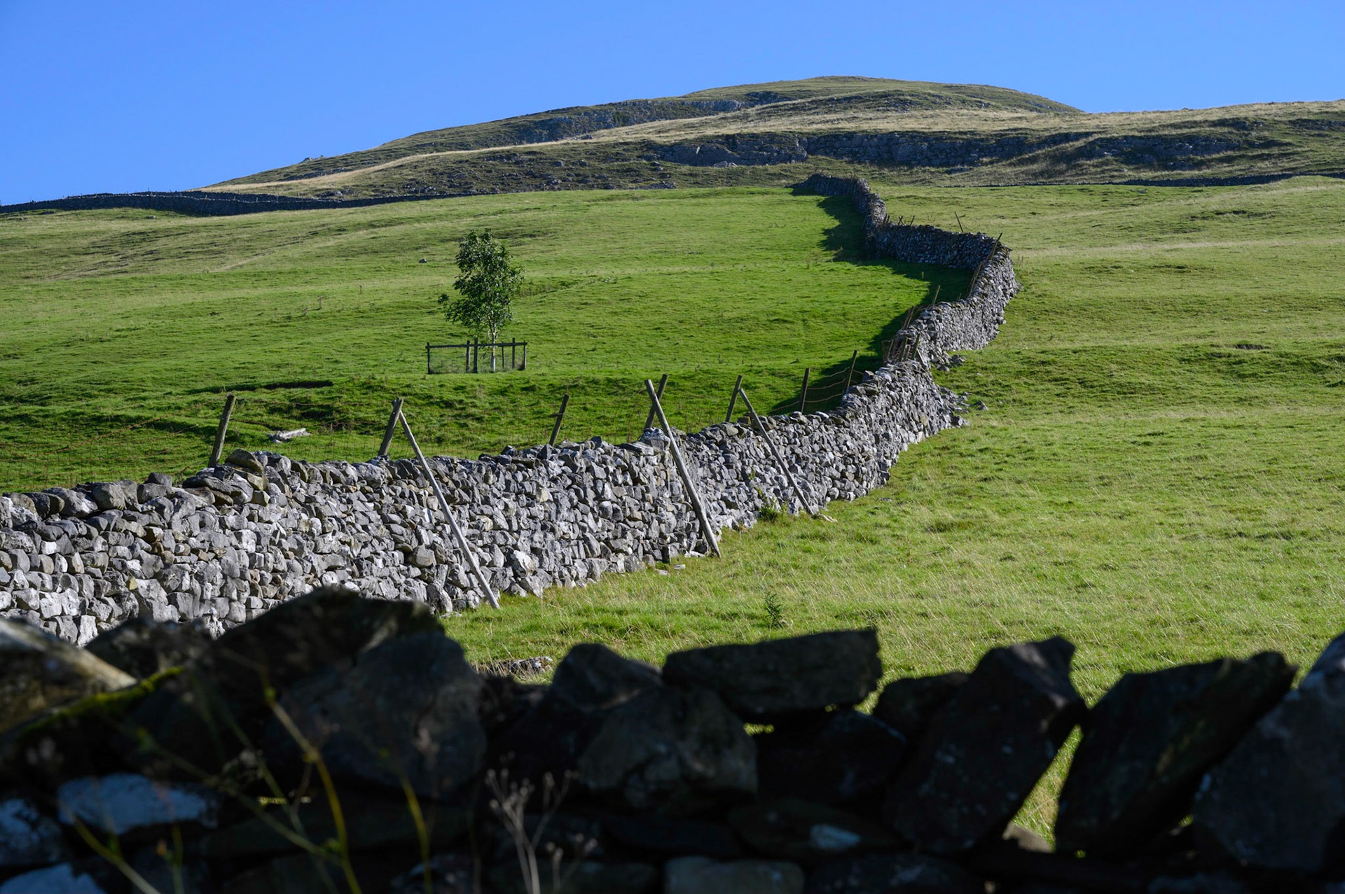 Stone walls on the high road between Settle and Langcliffe, North Yorkshire.
