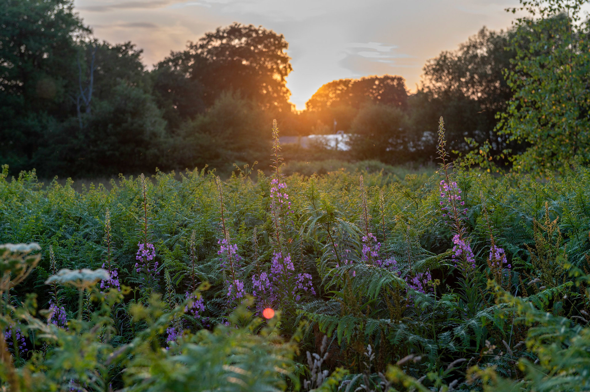 Sunset at Penyfan Pond near Blackwood, South Wales.