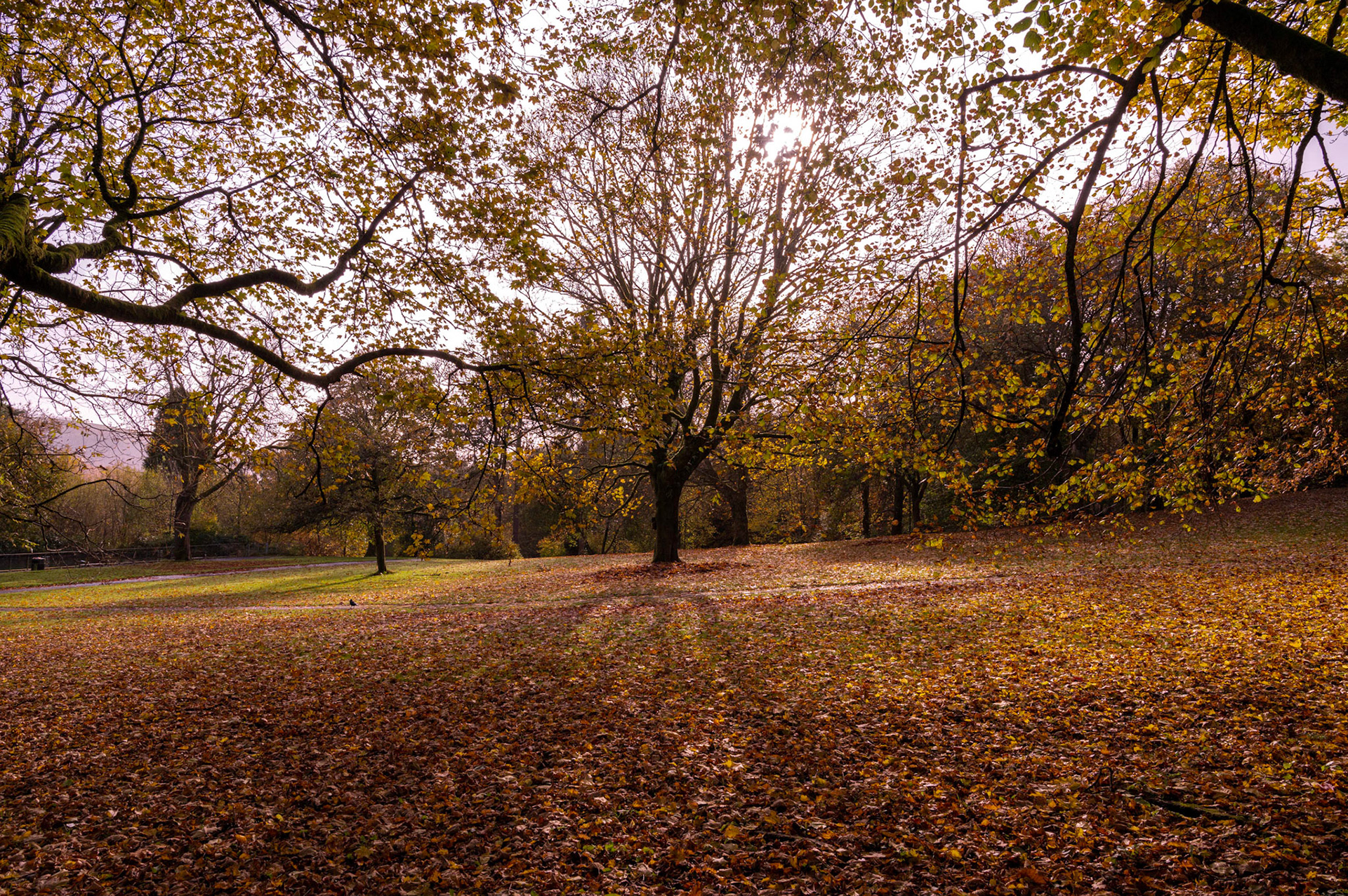 Bedwellty Park and House, Tredegar, South Wales, UK