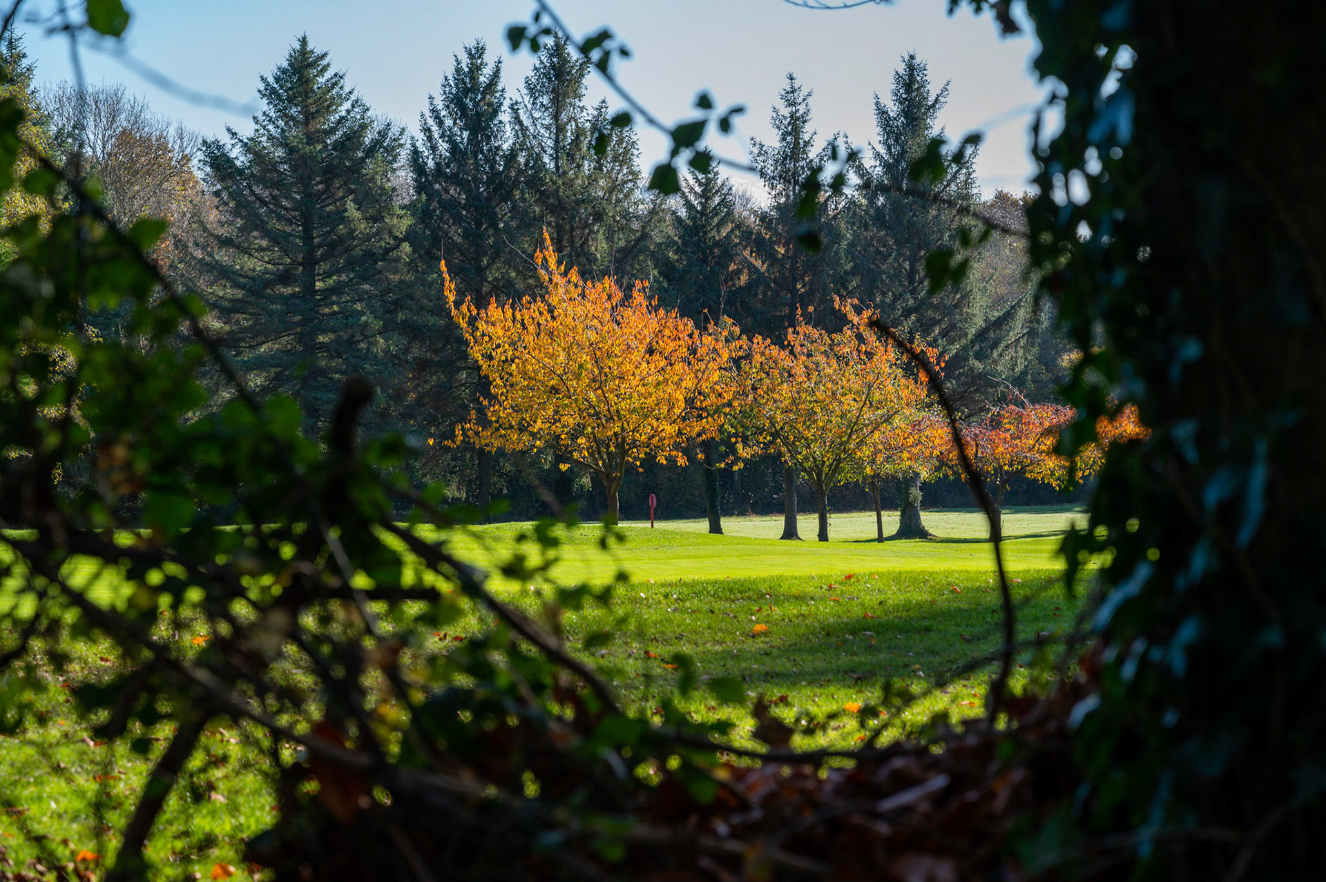 Autumn colours at St Mellons Golf Club, Cardiff,