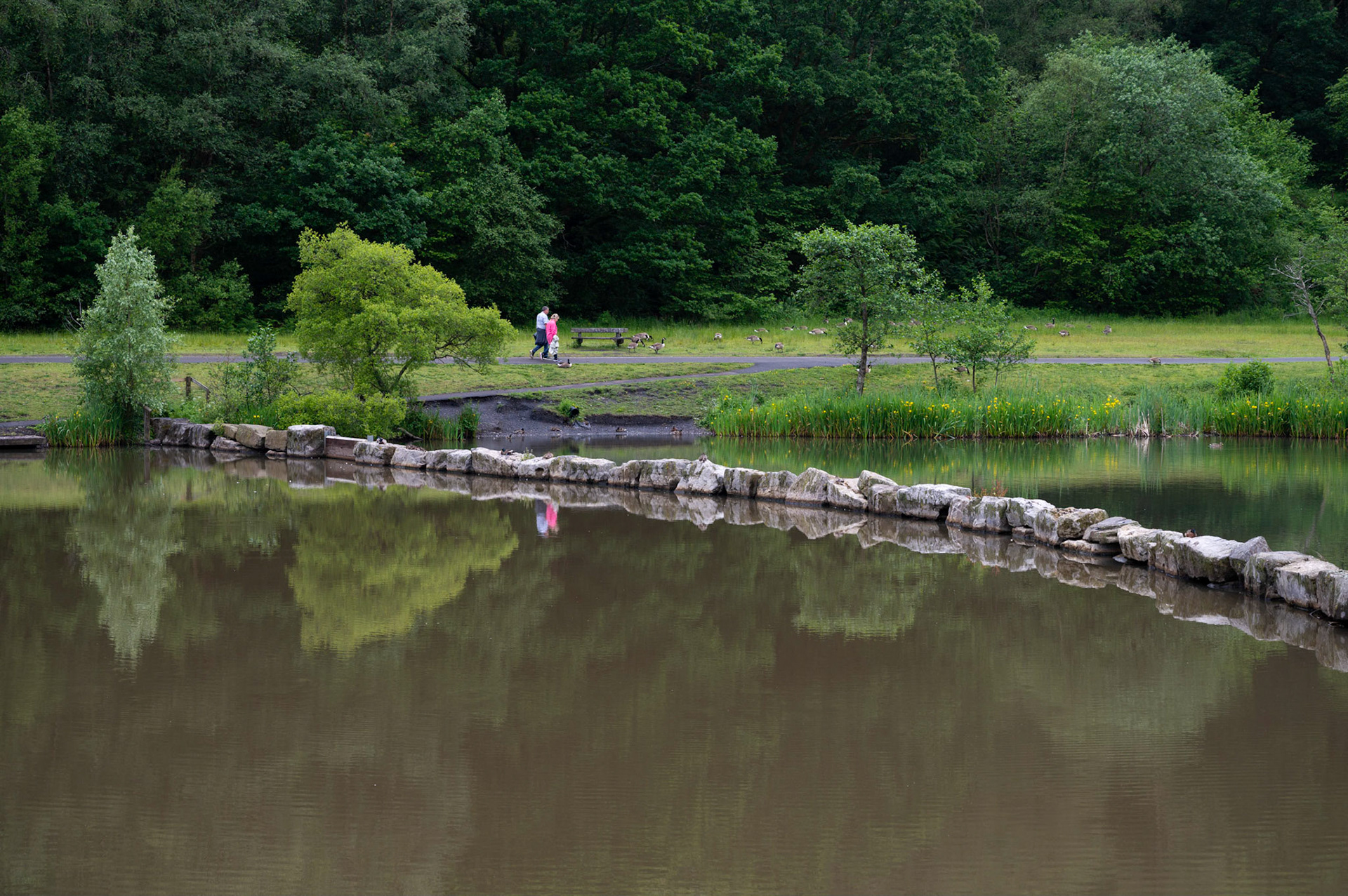 Reflections in the lake at Parc Cwm Darran, Deri,