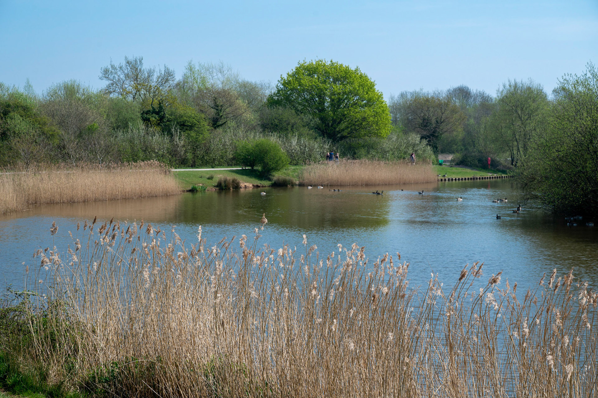 Hendre Lakes