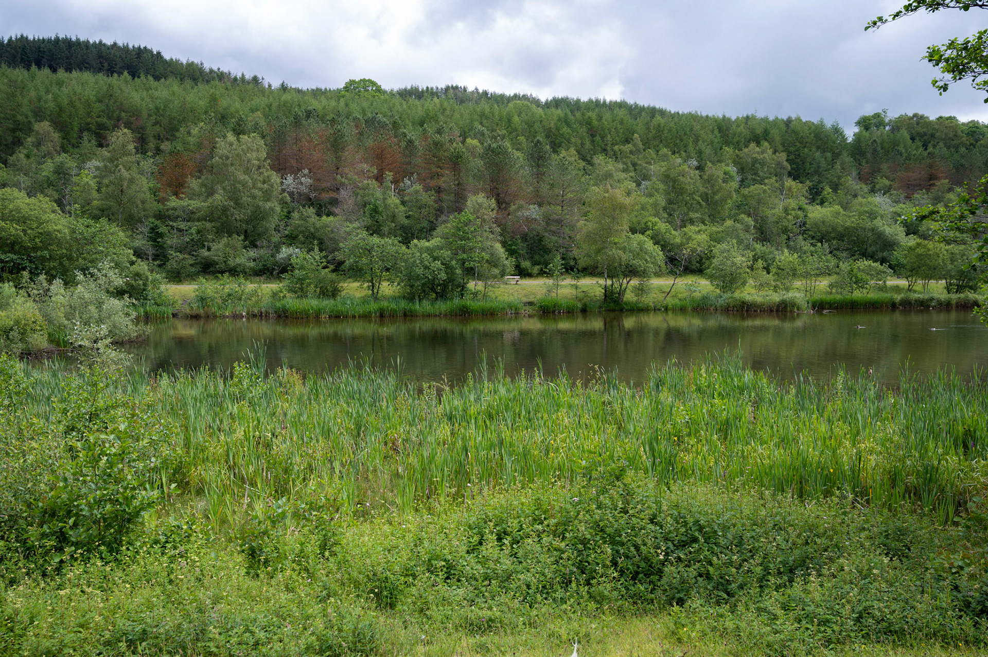 Parc Cwm Darran, Deri, South Wales.