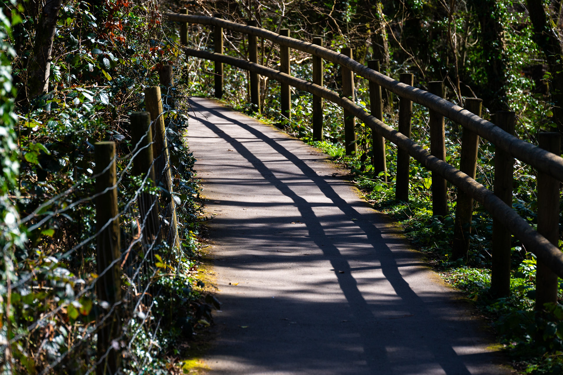 Cwmcarn Scenic Drive