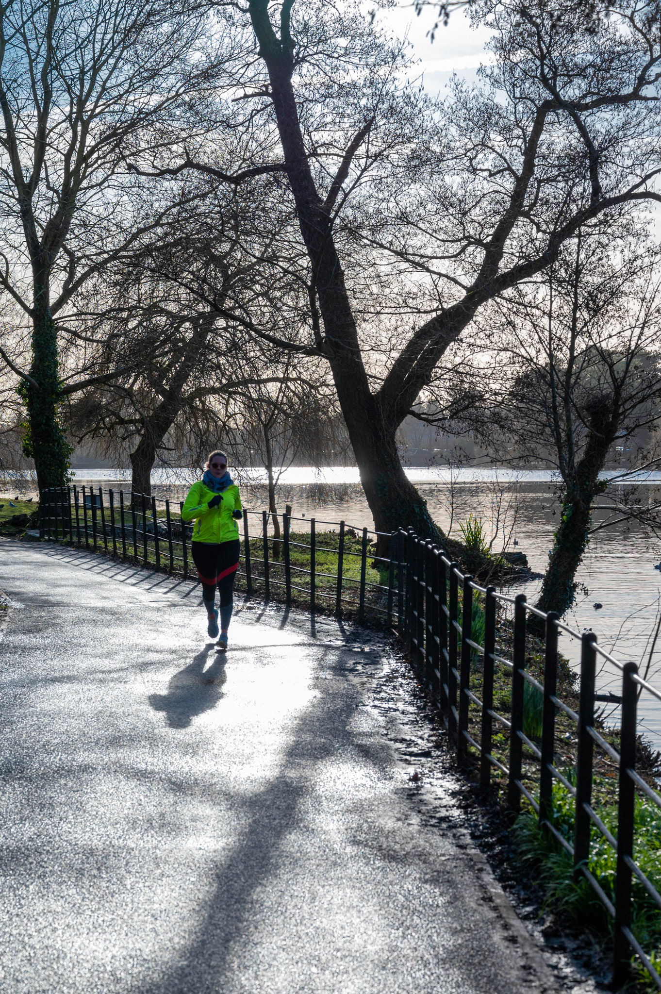 A jogger creates shadow as she suns past a tree silhouetted against a wintry blue sky at  at Roath Park, Cardiff, South Wales.