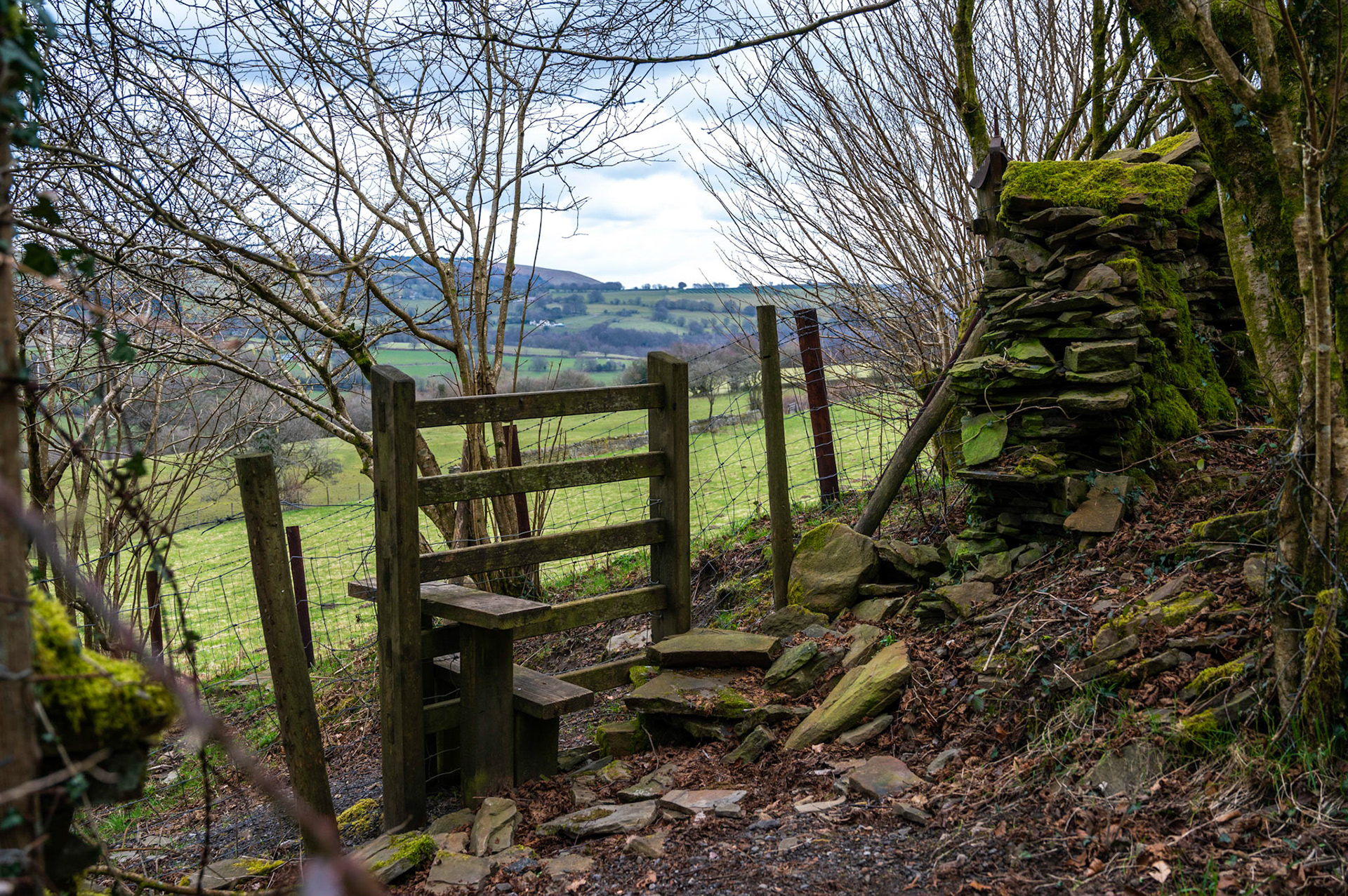 Today’s walk from home Mynydd Y Grug and back