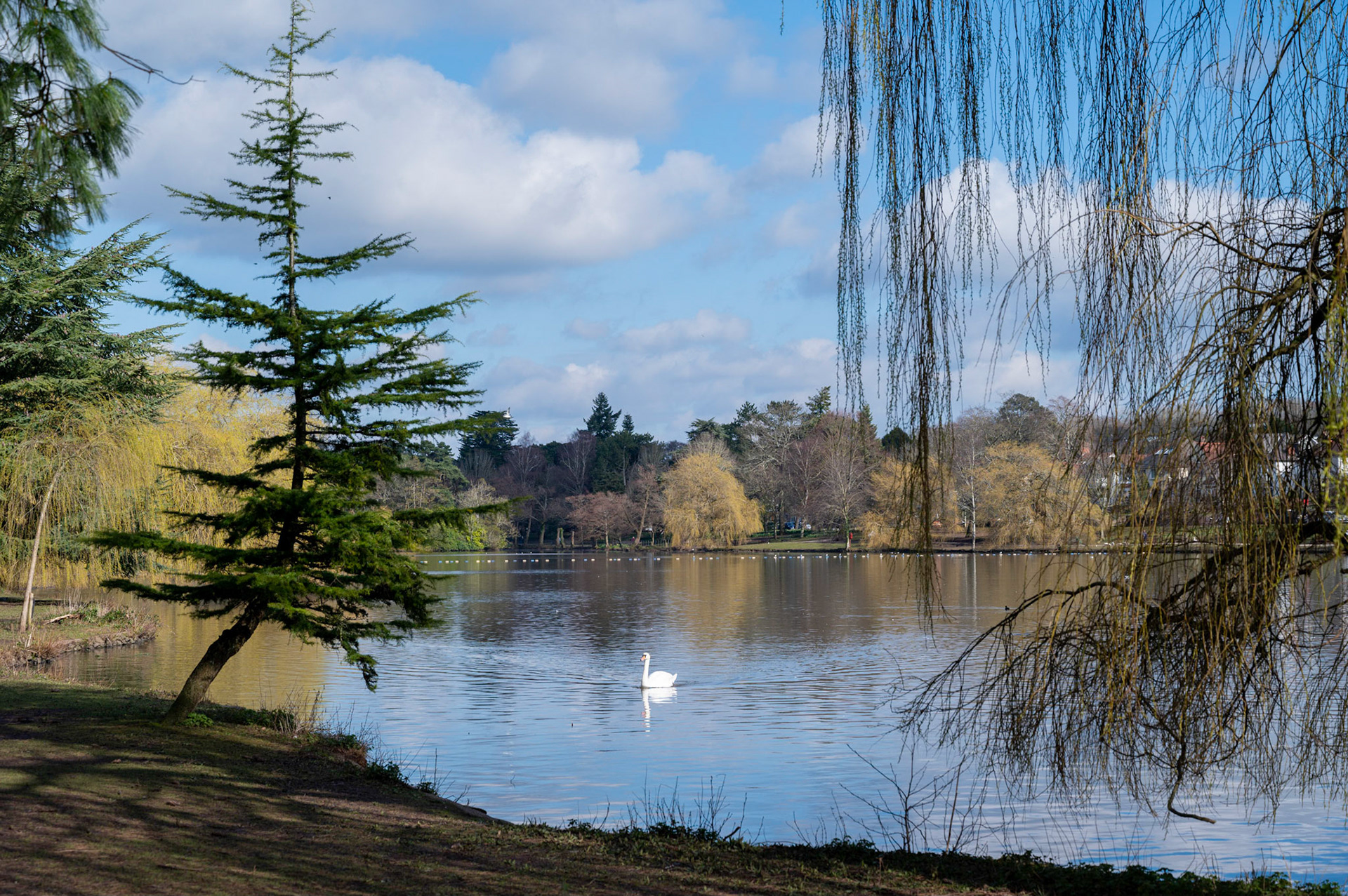 Roath Park, Cardiff in spring, 2020