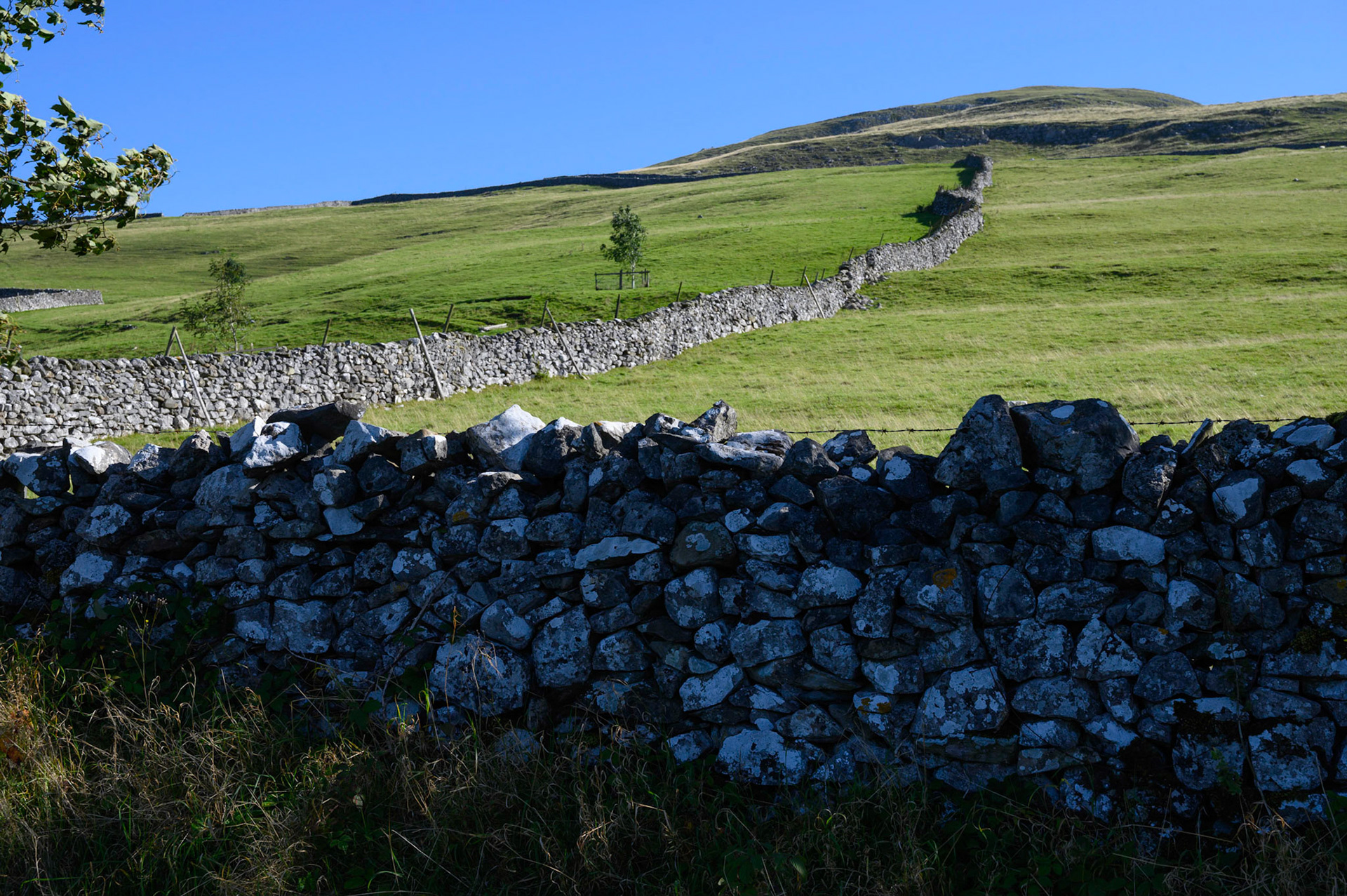 Stone walls on the high road between Settle and Langcliffe, North Yorkshire.