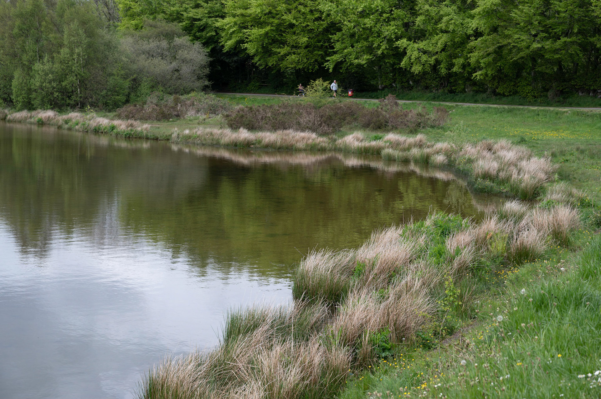 Reflections at Pen Y fan Pond near Blackwood, South Wales.