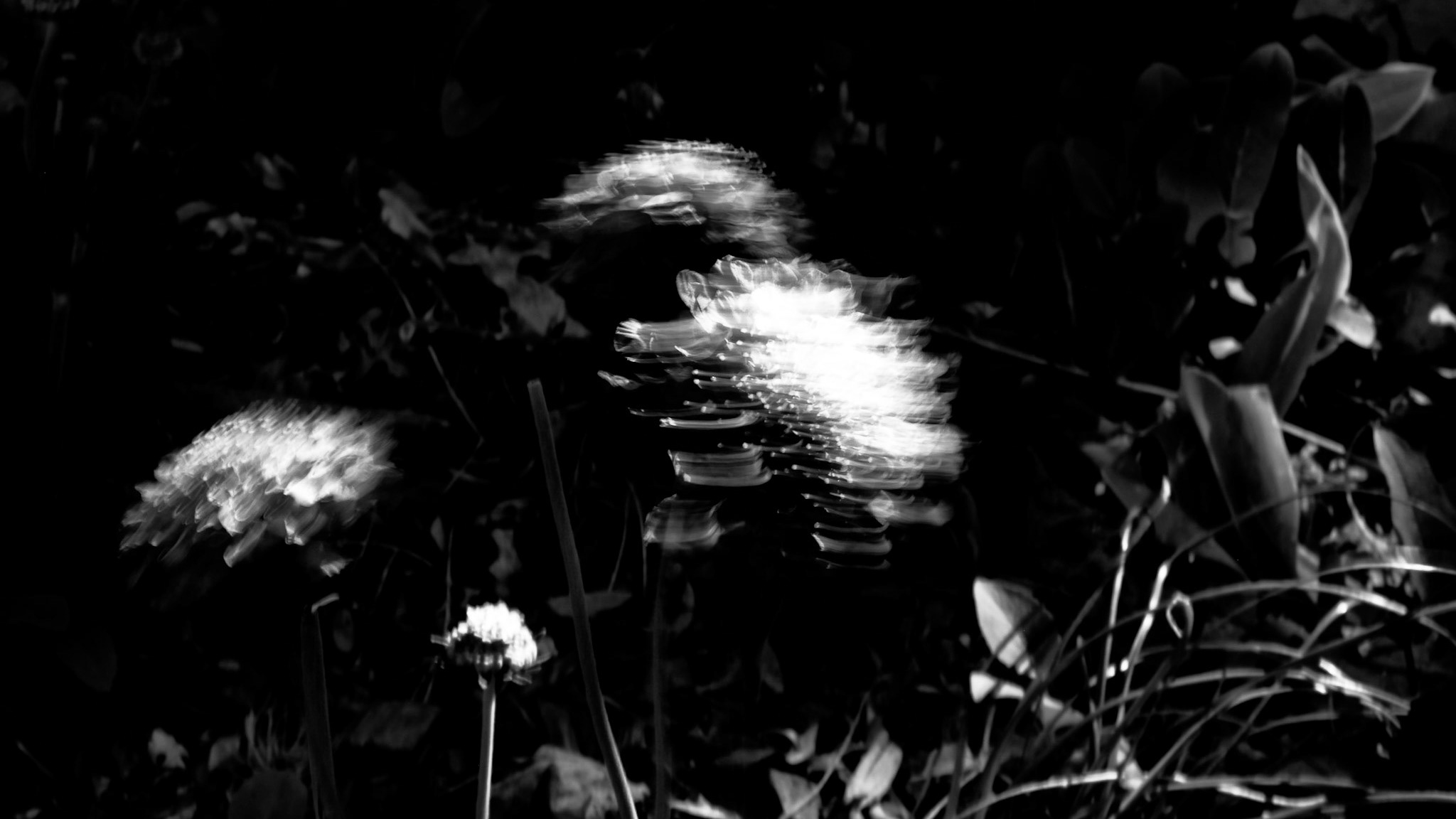 Alex Glassman Light and Shadow in Nature
