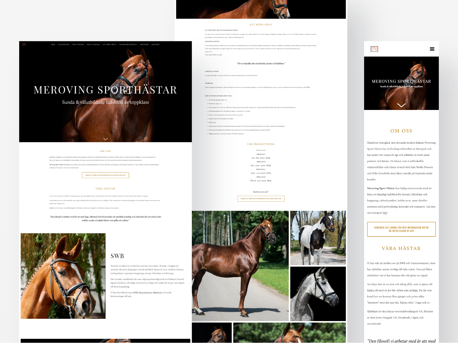 Meroving Sport Horses website showcased in desktop and mobile