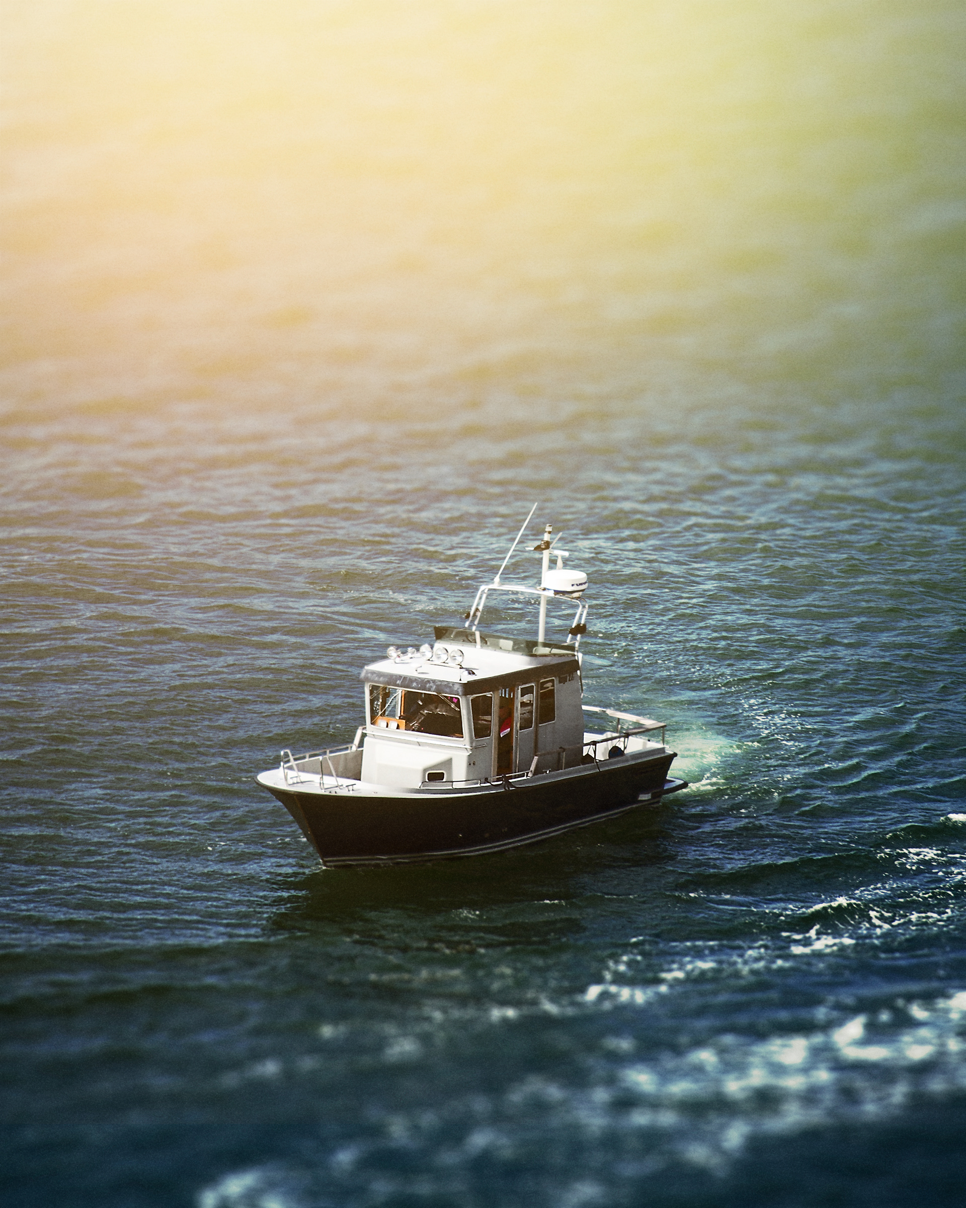 Patrolling the harbor