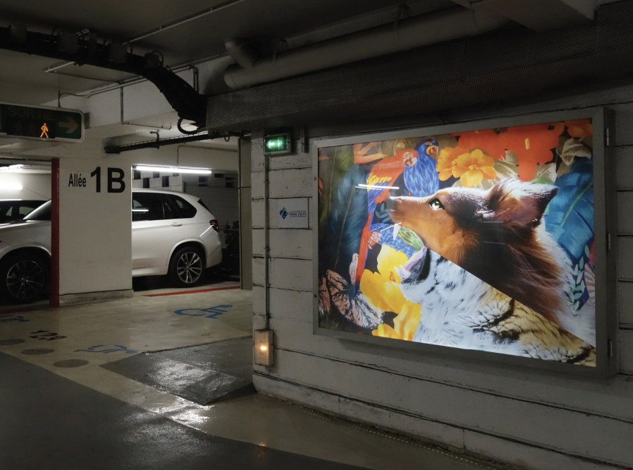Installation de l’affiche dans le parking automobile Buirette à Reims.