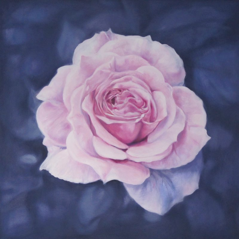 Rose   50x50