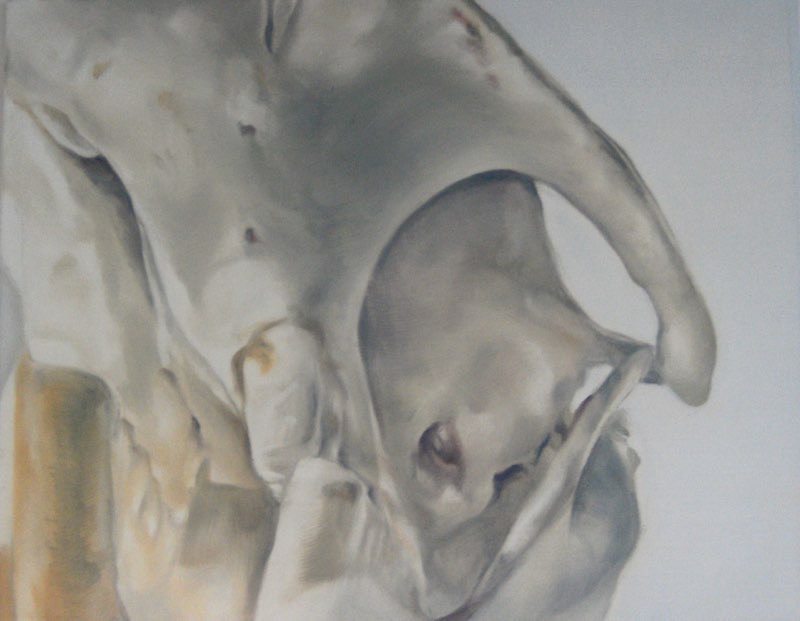 Erotic Bones II   40x50