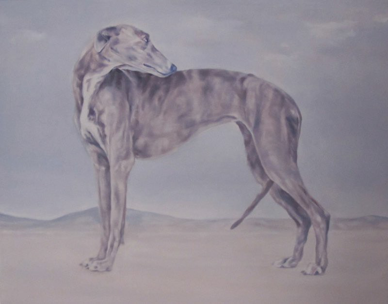 Greyhound 90x70