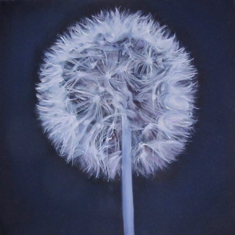 Blowball  II    50x50