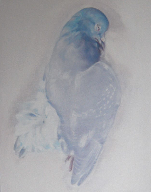 Dissapearing   40x50