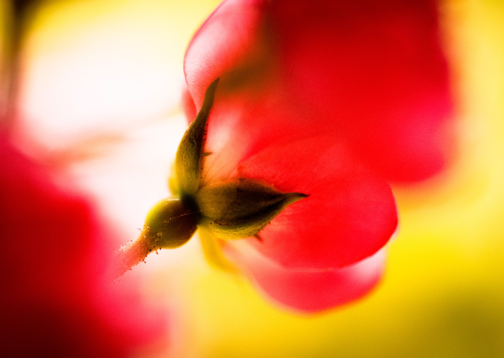 Sommer_27