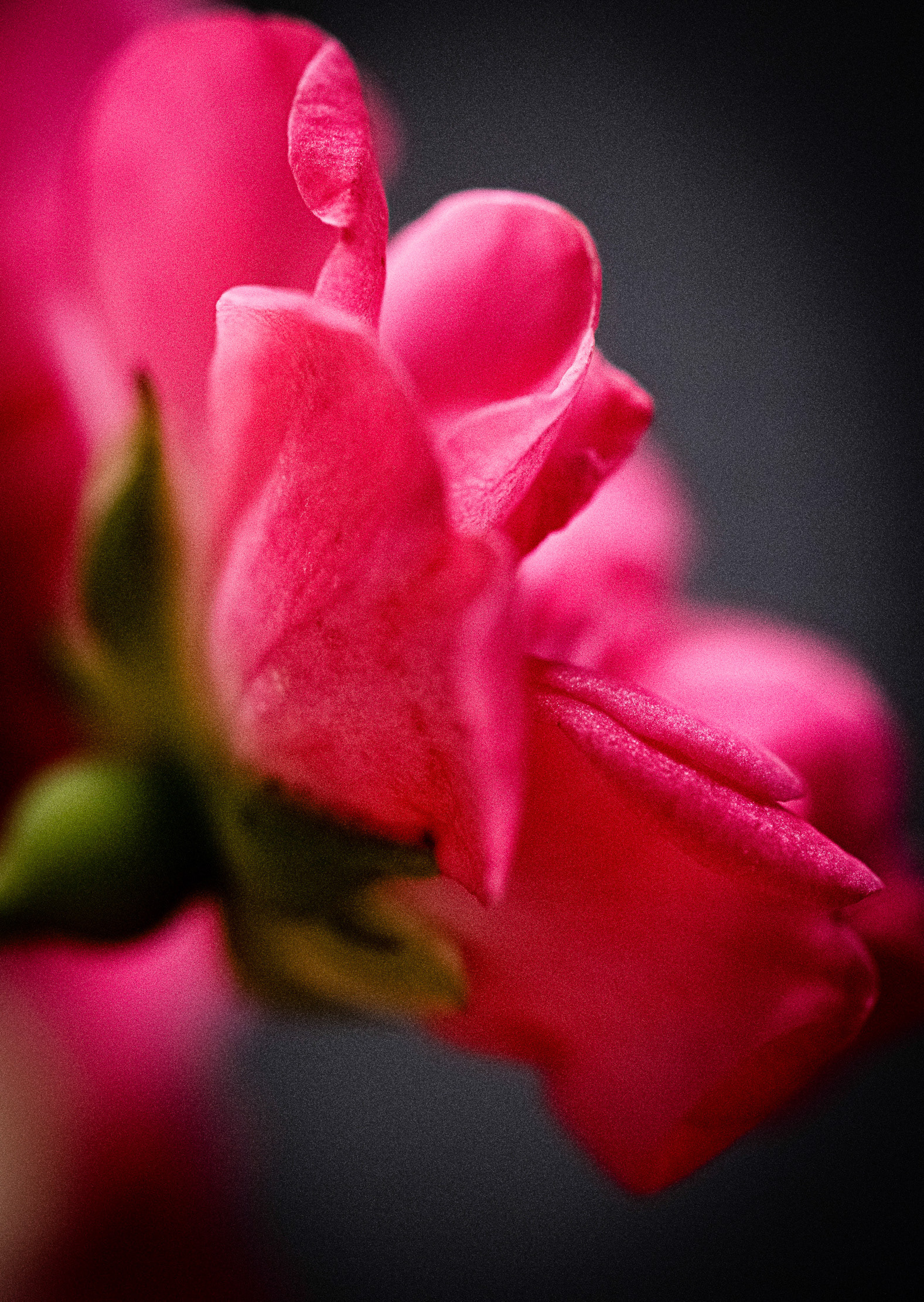 Sommer_29