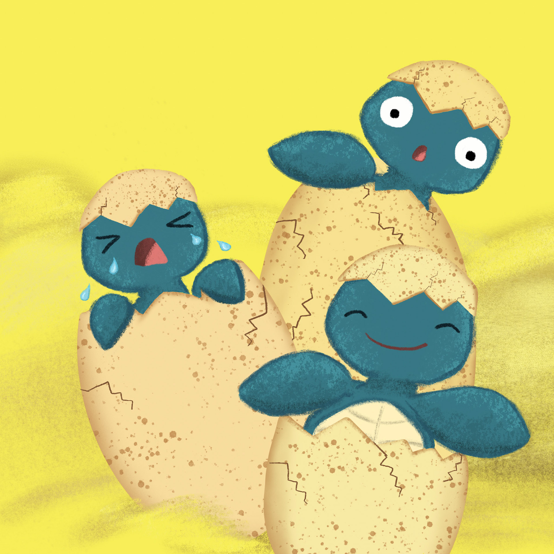 Sea turtles hatching