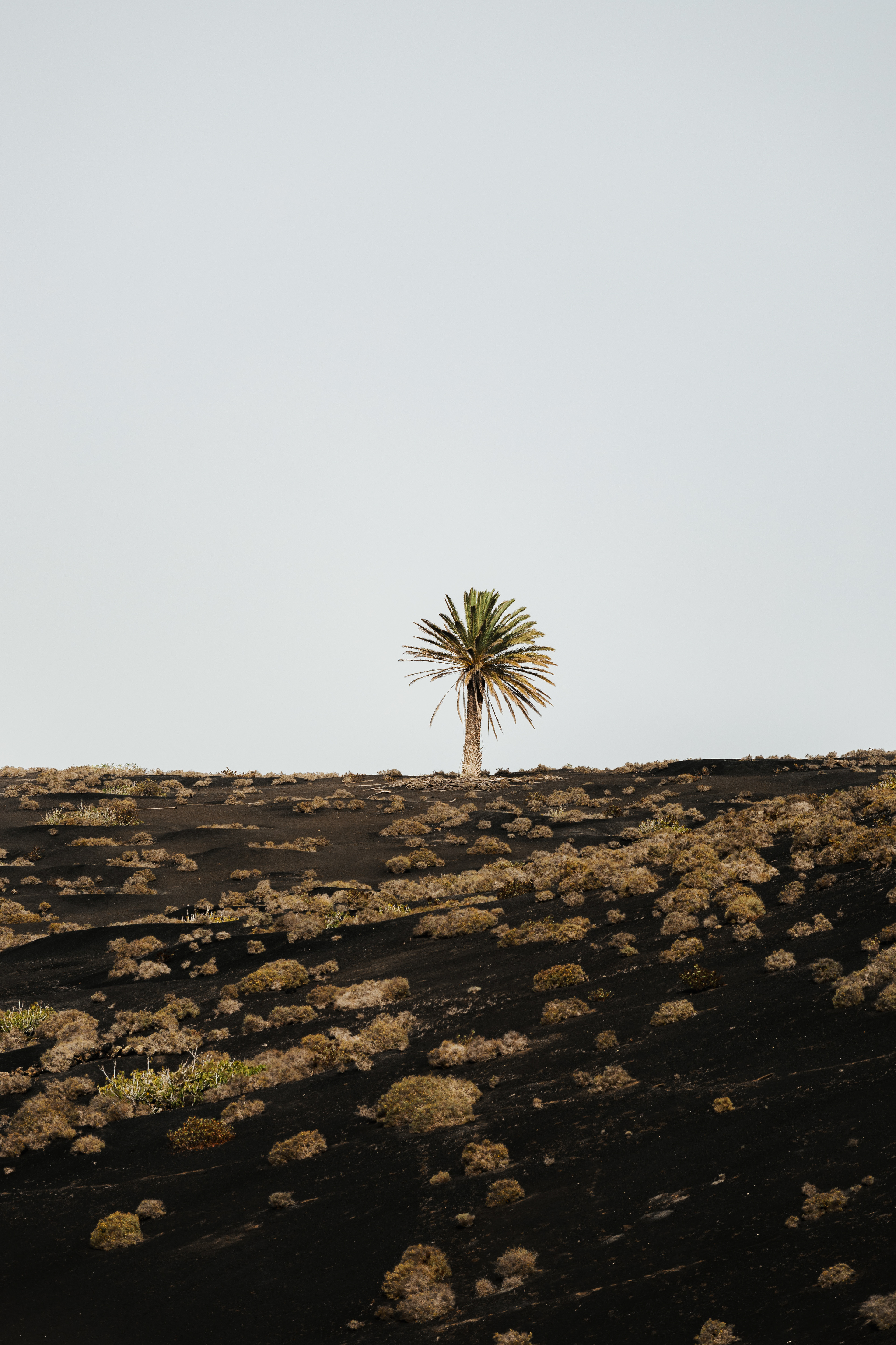 LANZAROTE 2025