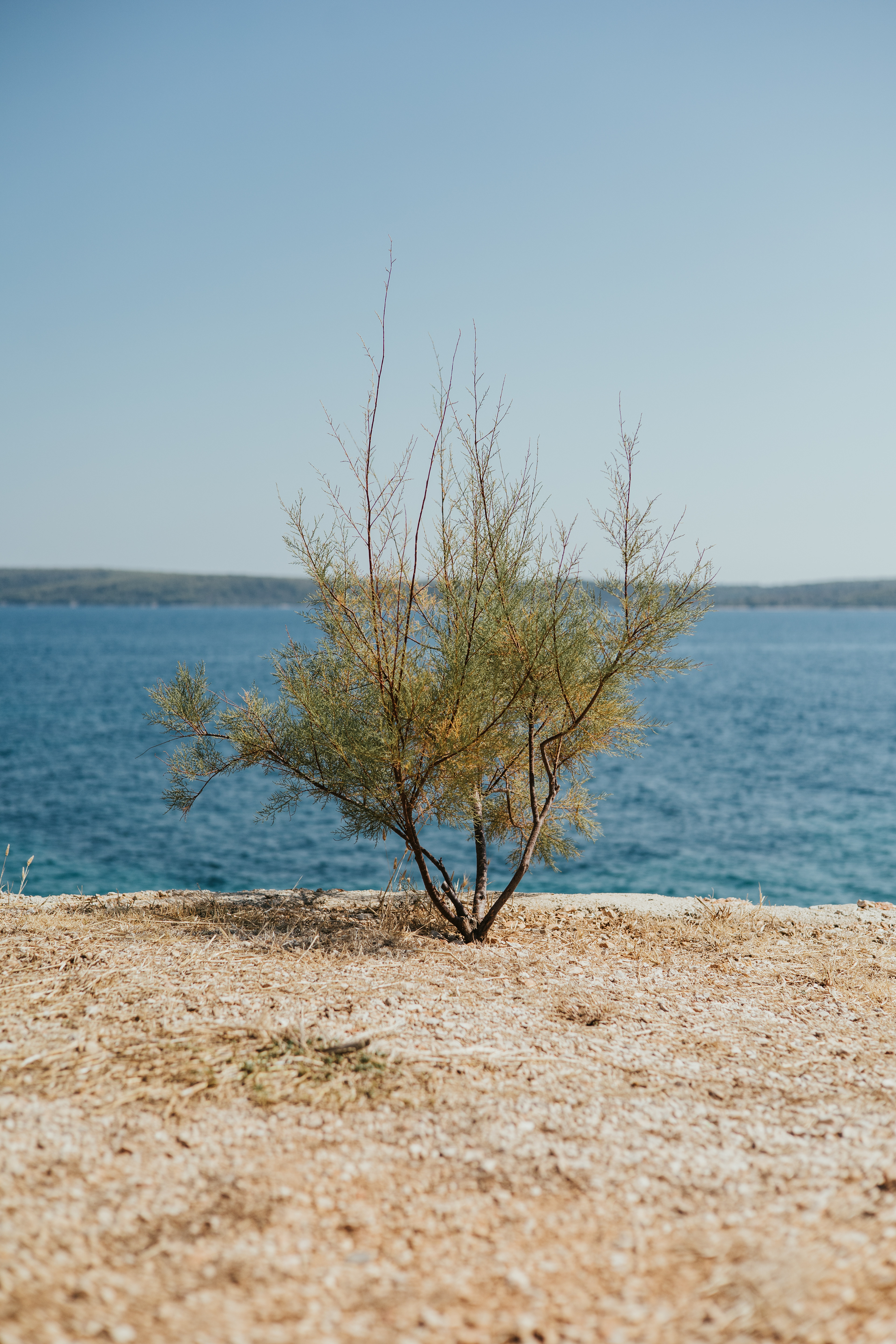 HVAR 2024