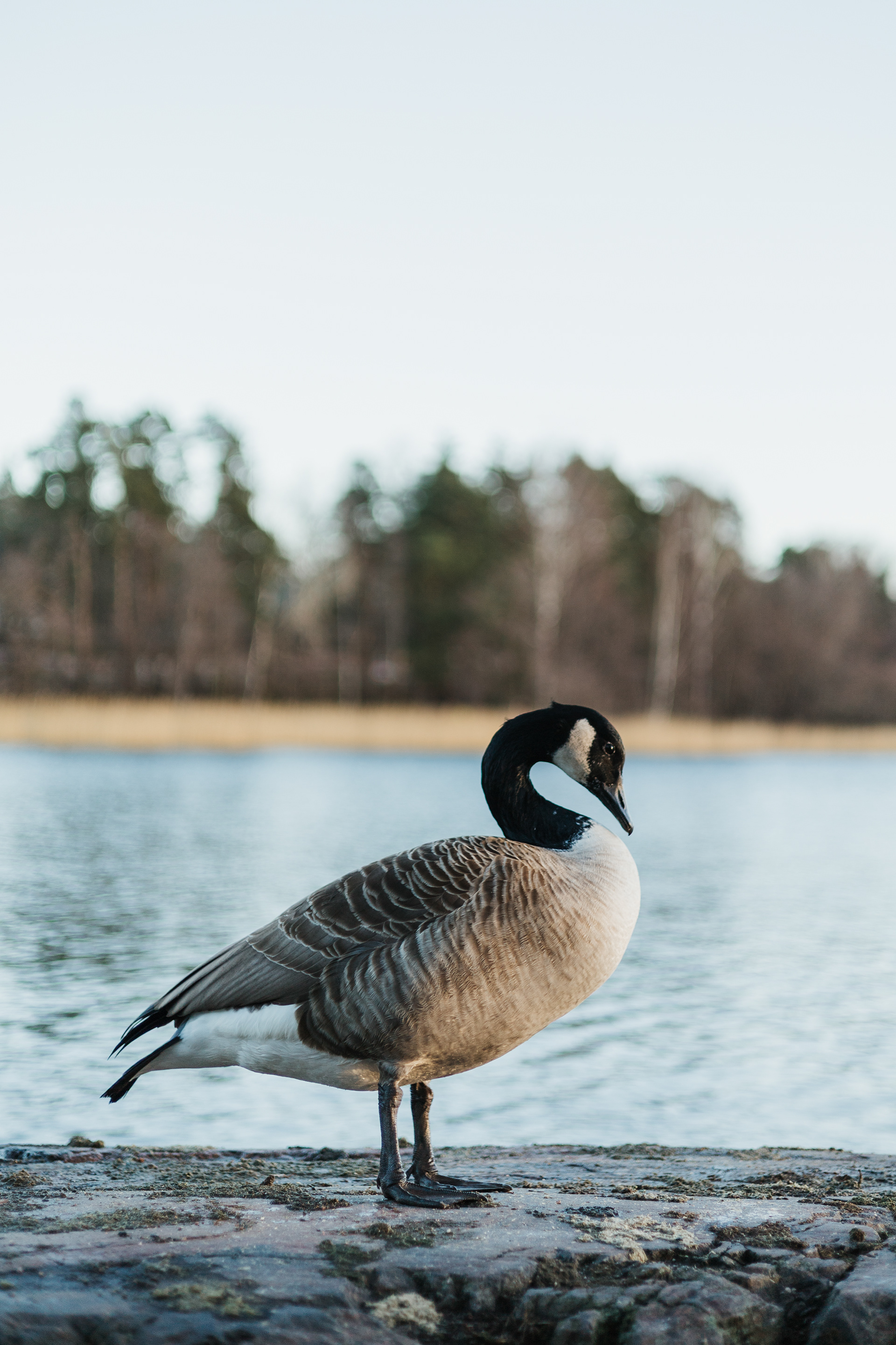 HELSINKI 2024