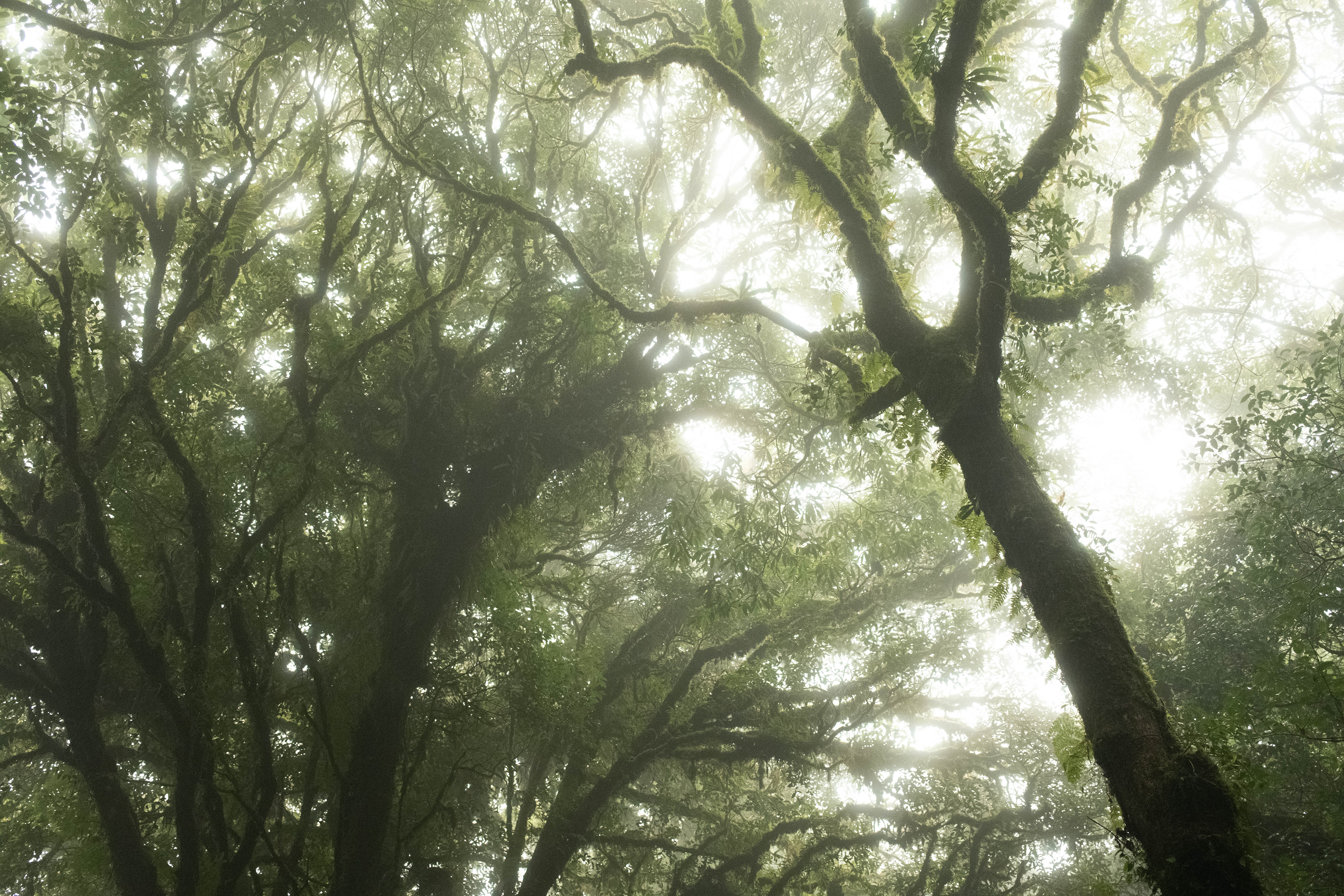 Chiang Mai, Thailand