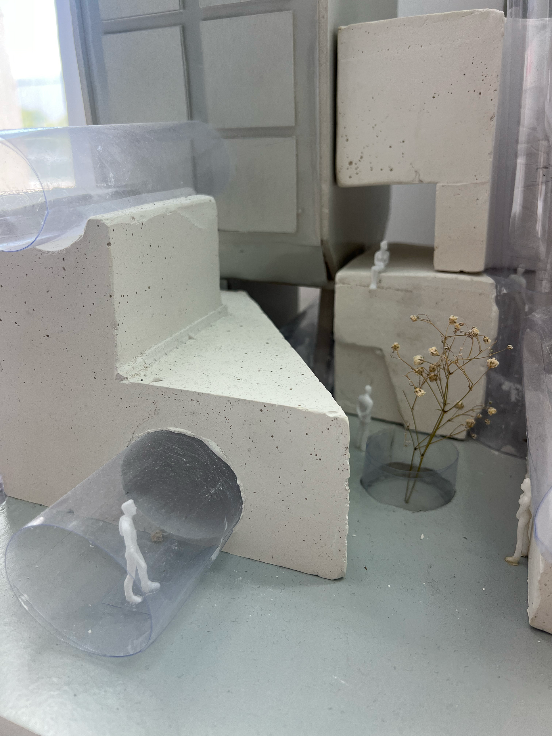 Final project model