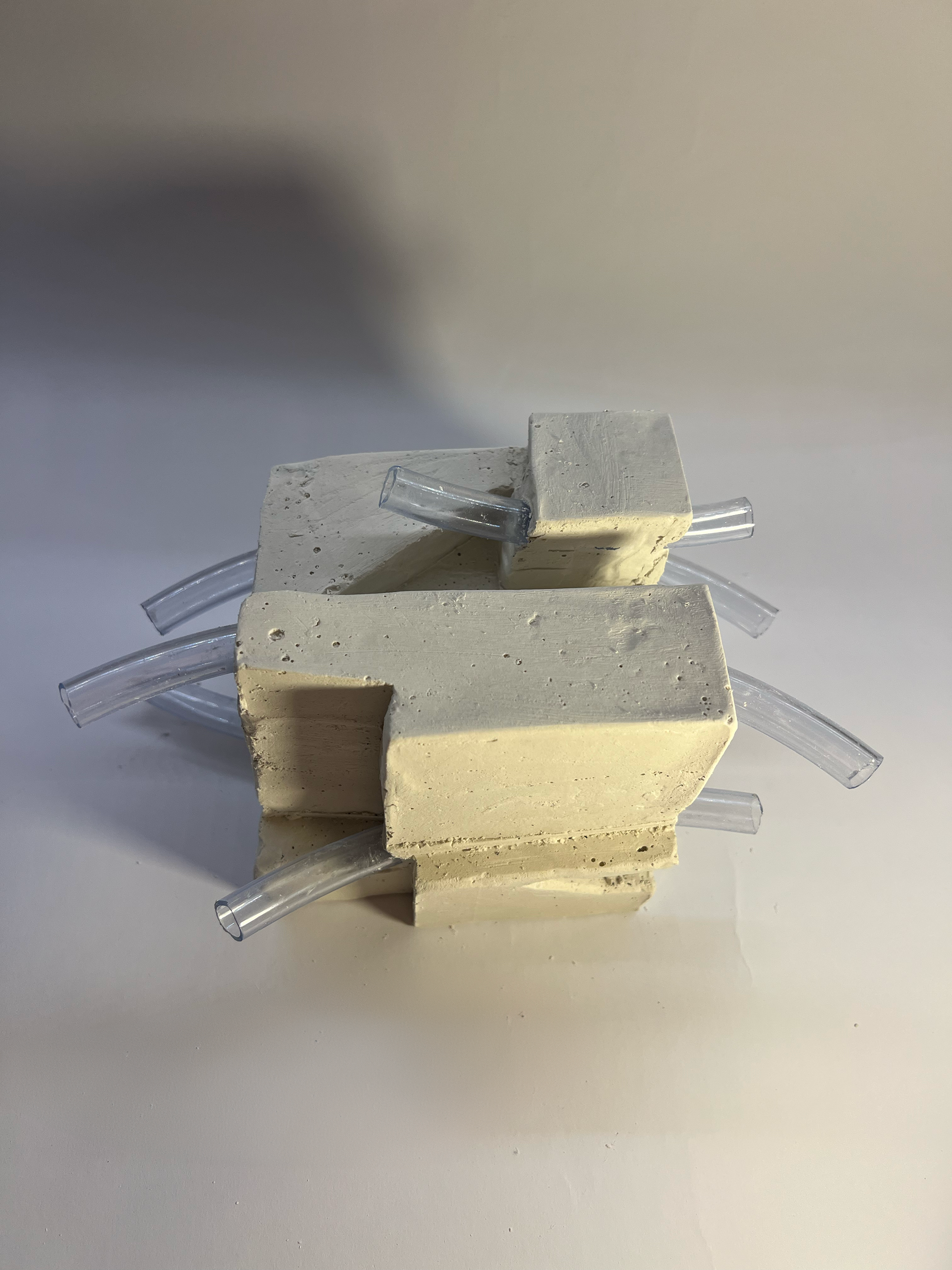 Conceptual model