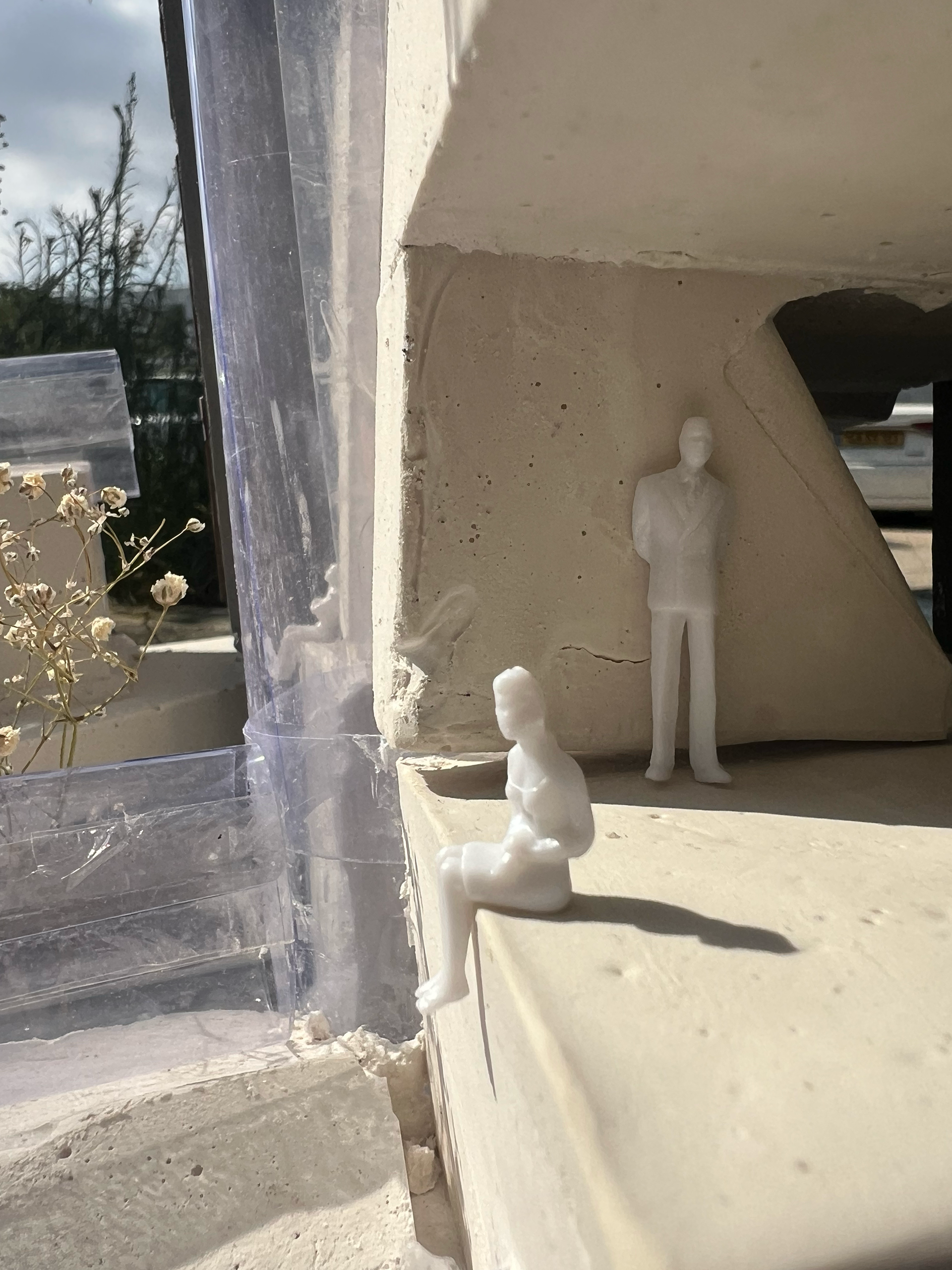 Final project model
