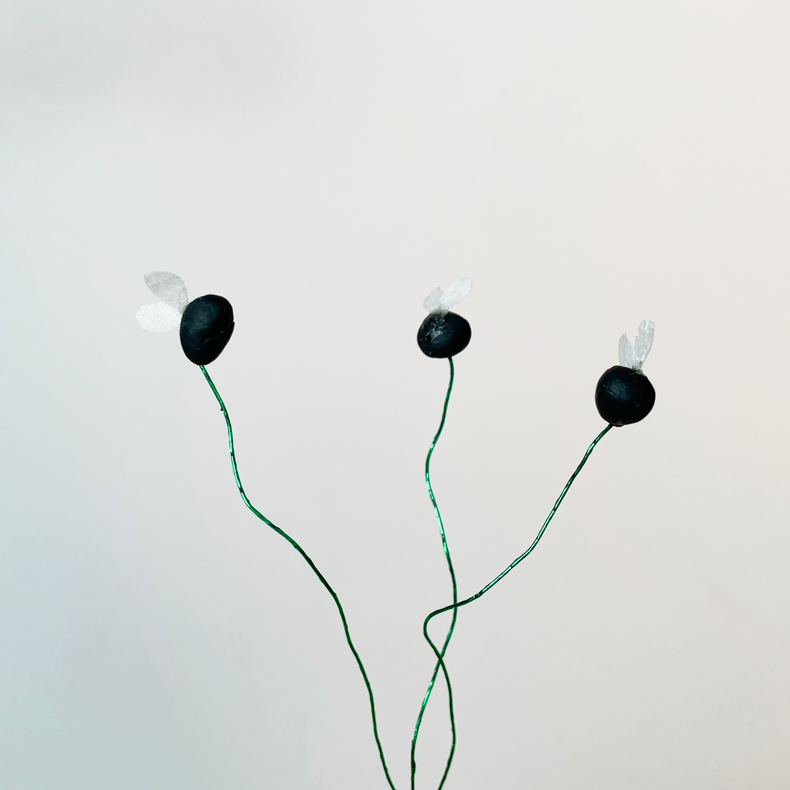 Fly rigs