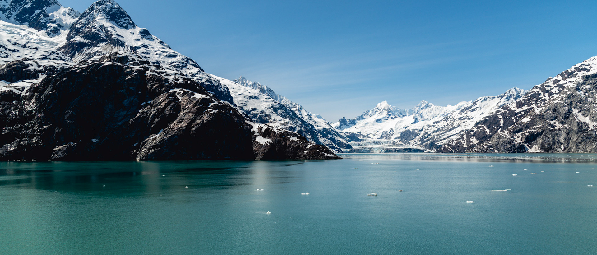 Johns Hopkins Glacier