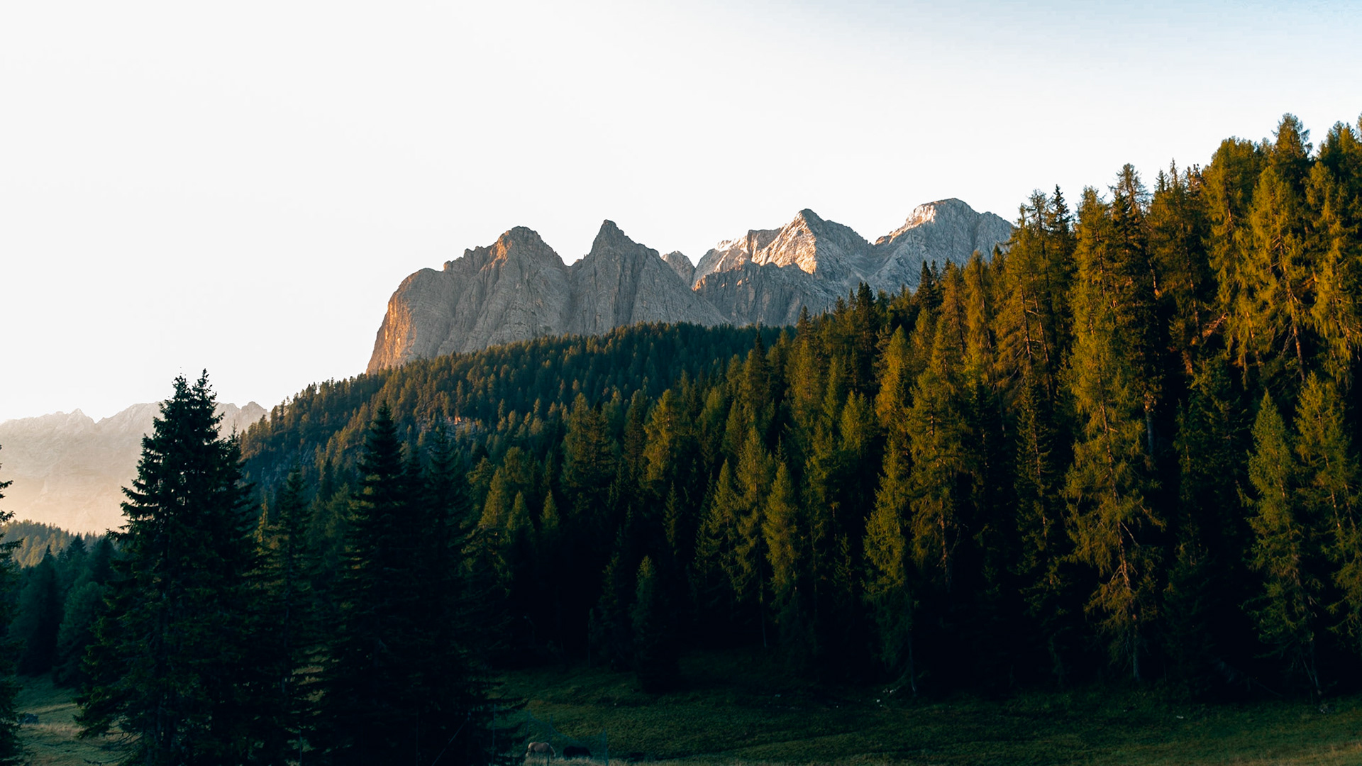 Passo Tre Croci Cortina