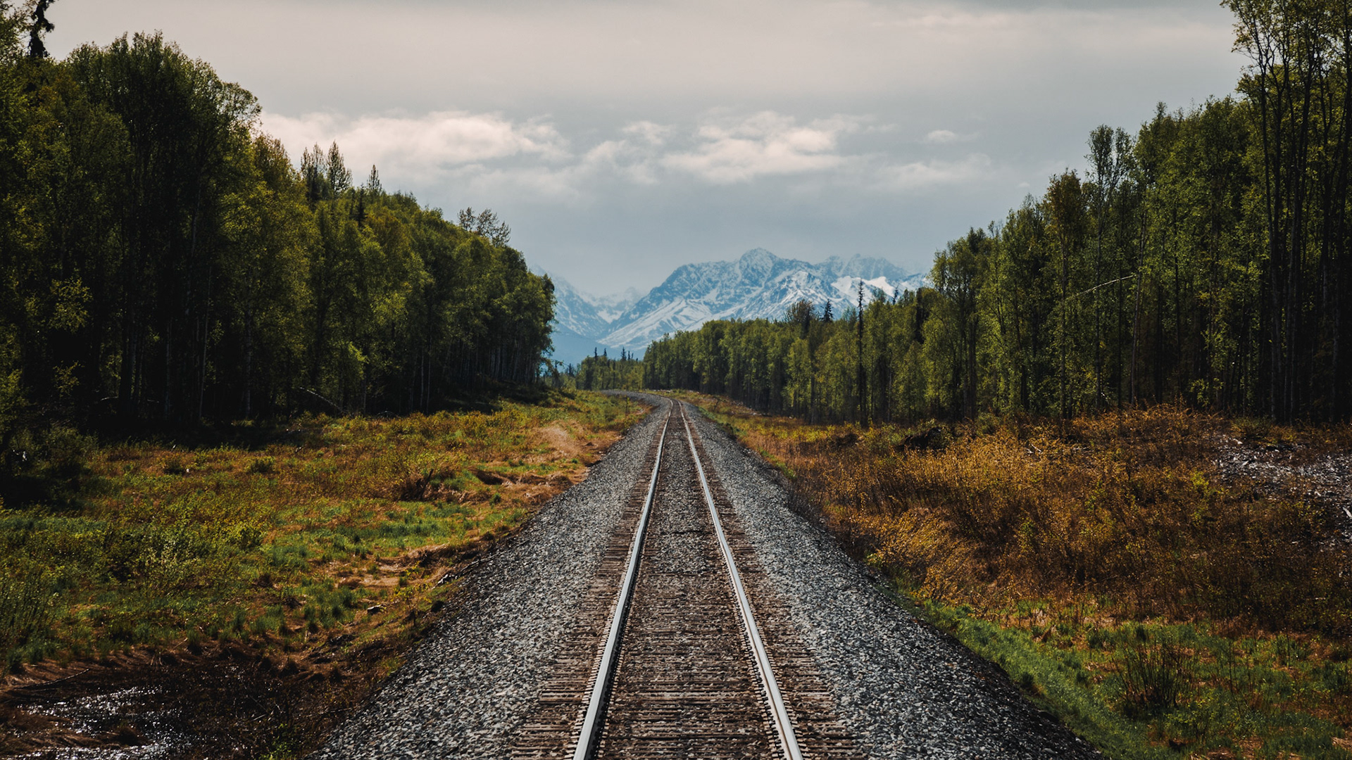 Heading North from Anchorage