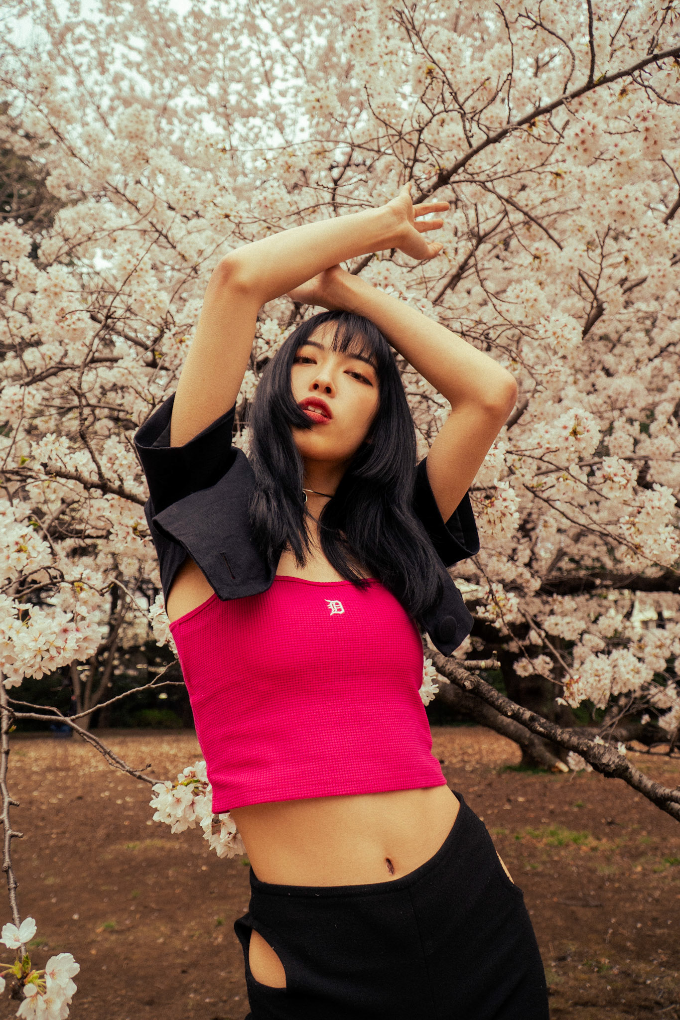 FANCY WITH SAKURA