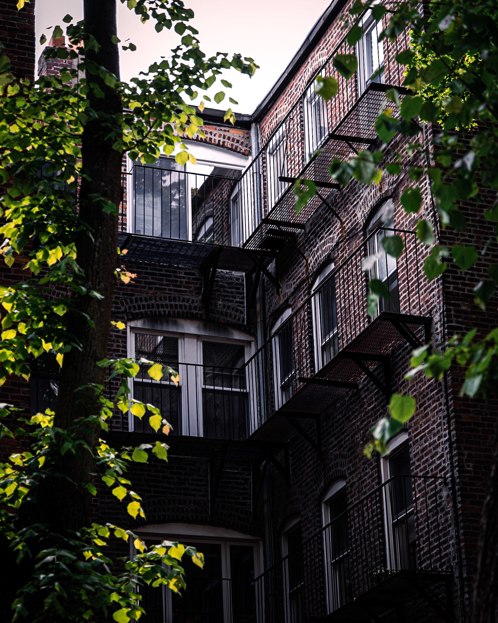 Boston red bricks