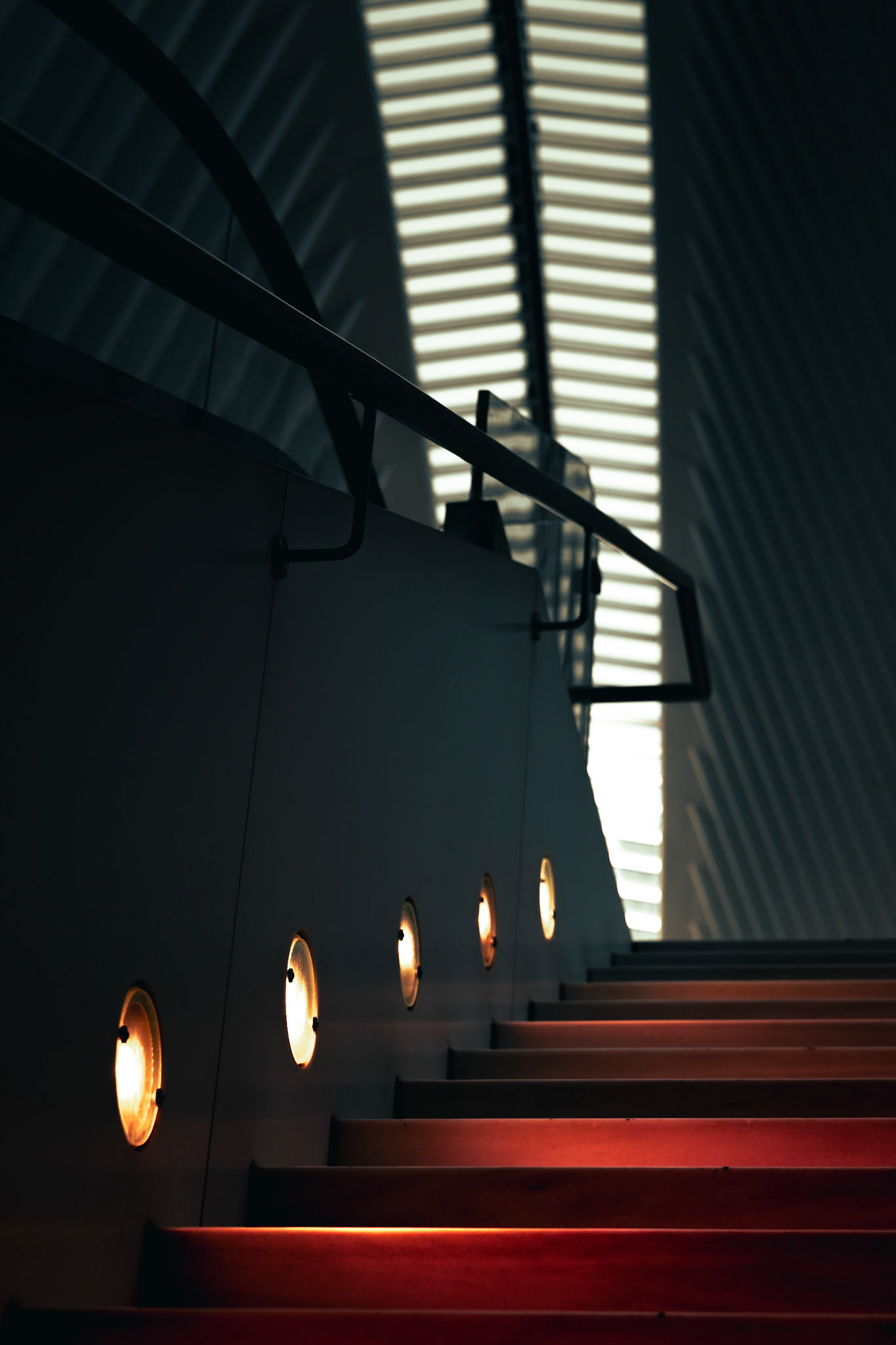 The Oculus