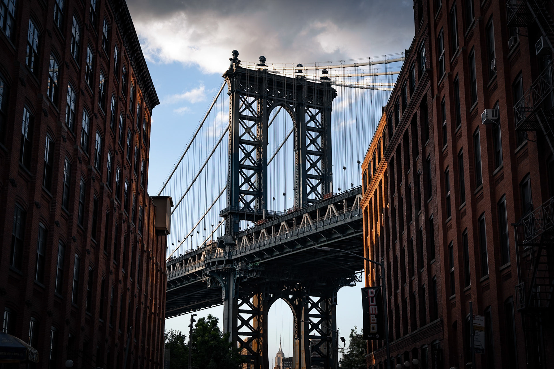 Dumbo