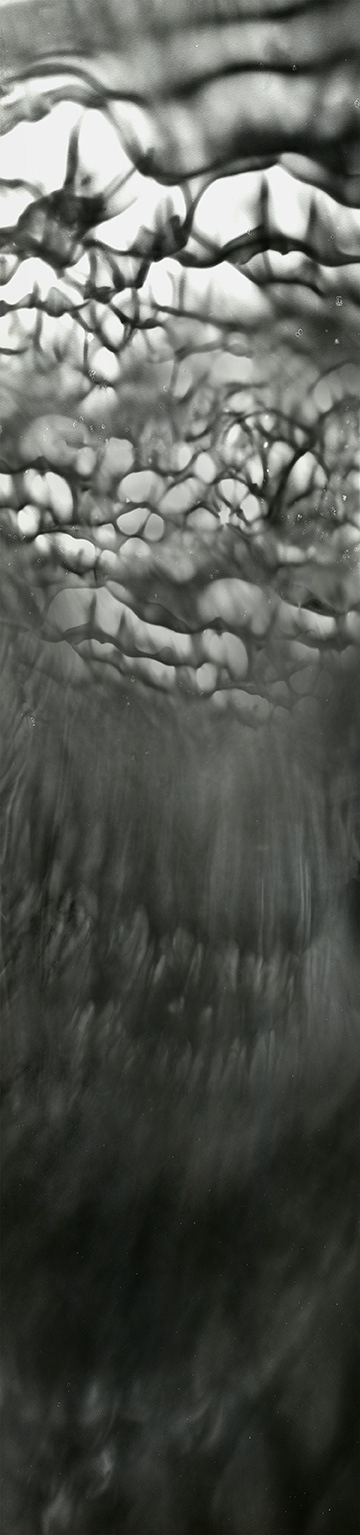 In Search of Water: Mission #47