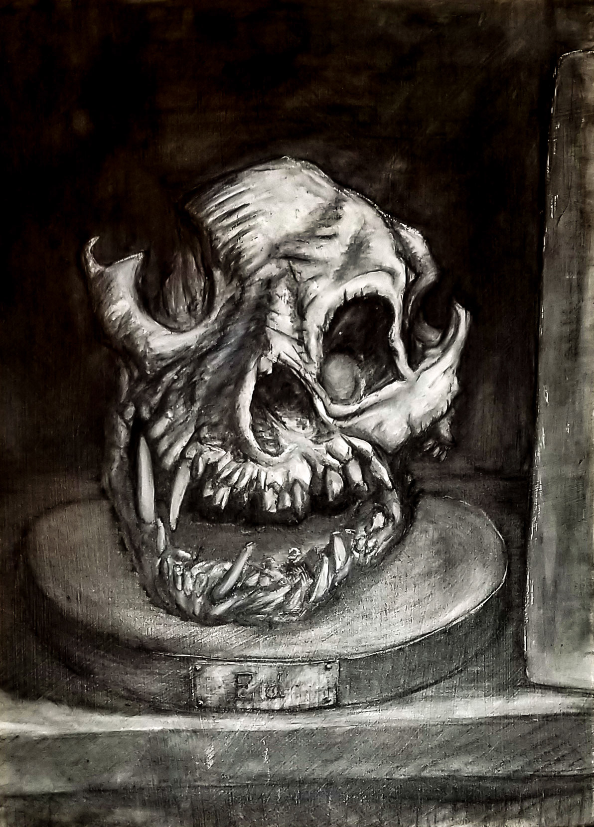 Ed - Charcoal and Ink