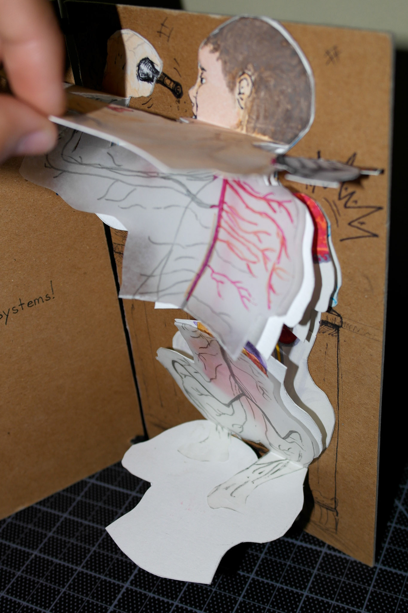 Anatomy - Detail - Pencil and Marker