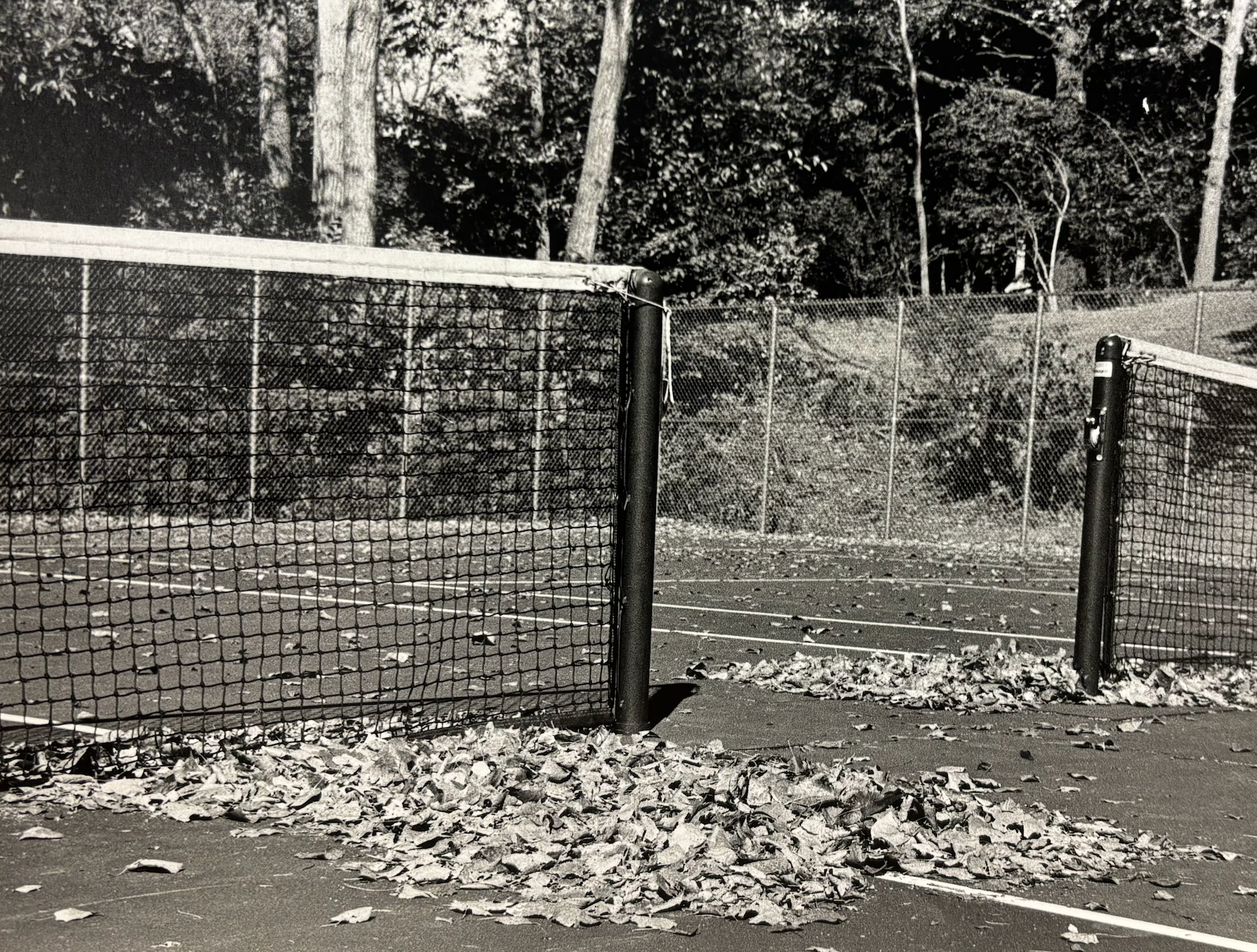 Tennis Court on Film