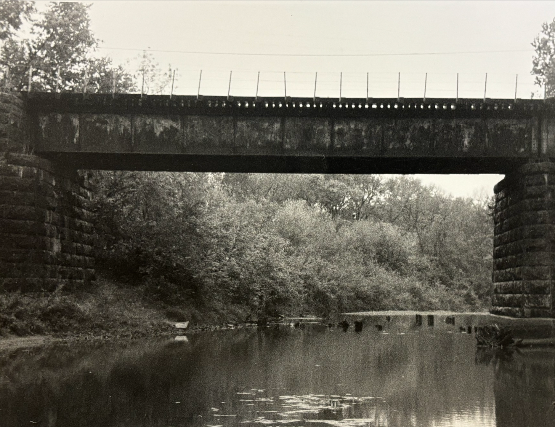 Bridge on Film