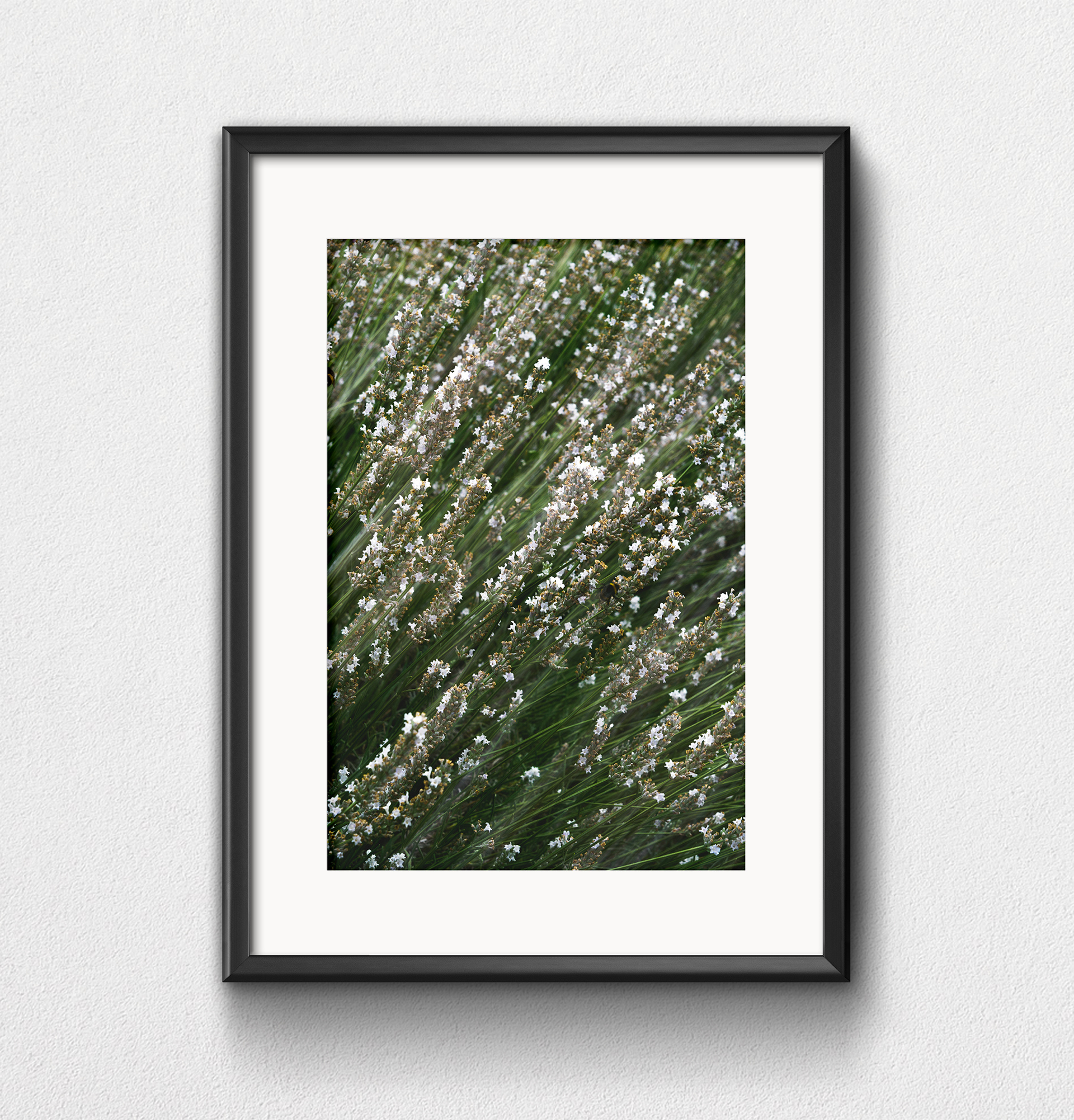 Nature 3